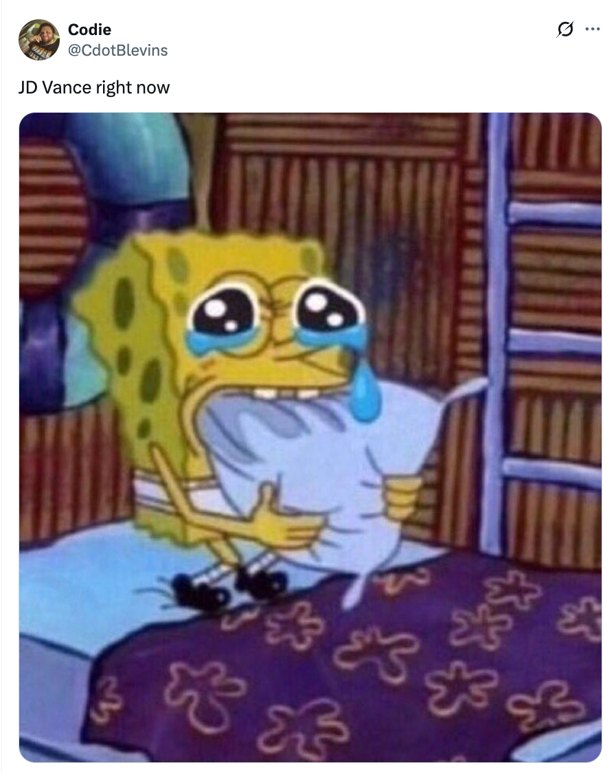 SpongeBob SquarePants crying and hugging a pillow, with a caption &quot;JD Vance right now&quot; suggesting a humorous or emotional situation