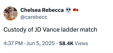Tweet by @carebecc: &quot;Custody of JD Vance ladder match.&quot;