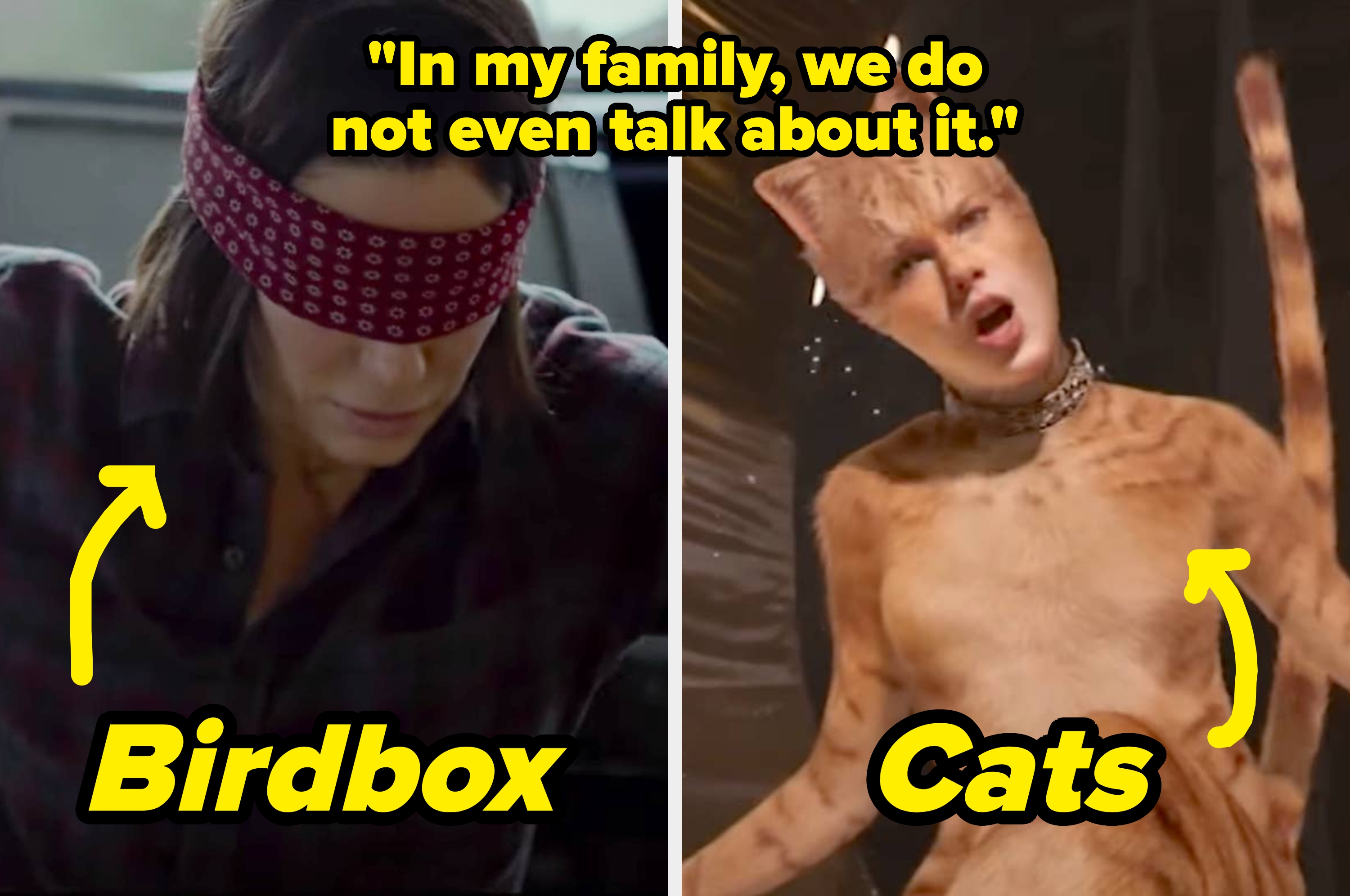 Split image: Left shows a blindfolded person from "Bird Box," right shows a cat-costumed person from "Cats" with added text labels
