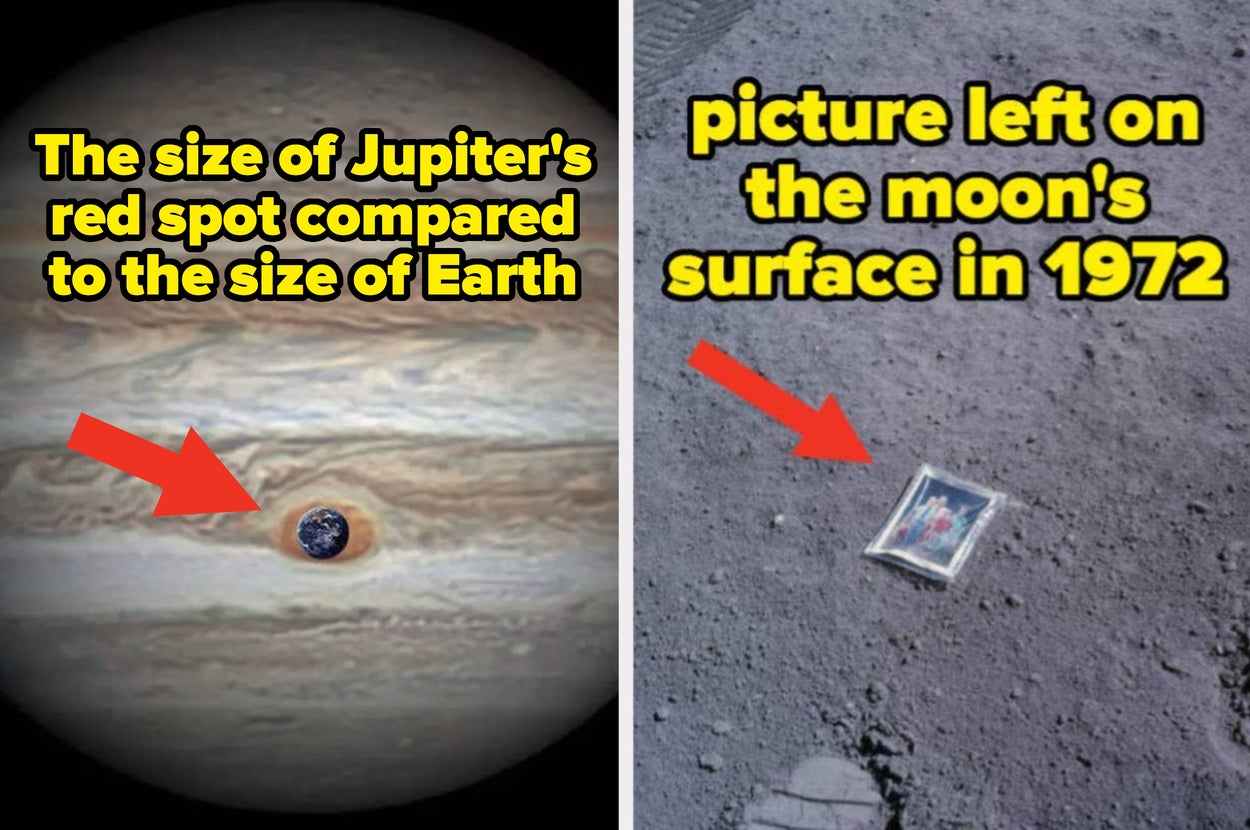 65 Extremely Rare Historical Pictures That Will Completely And Totally Change Your Perspective On The Universe - BuzzFeed