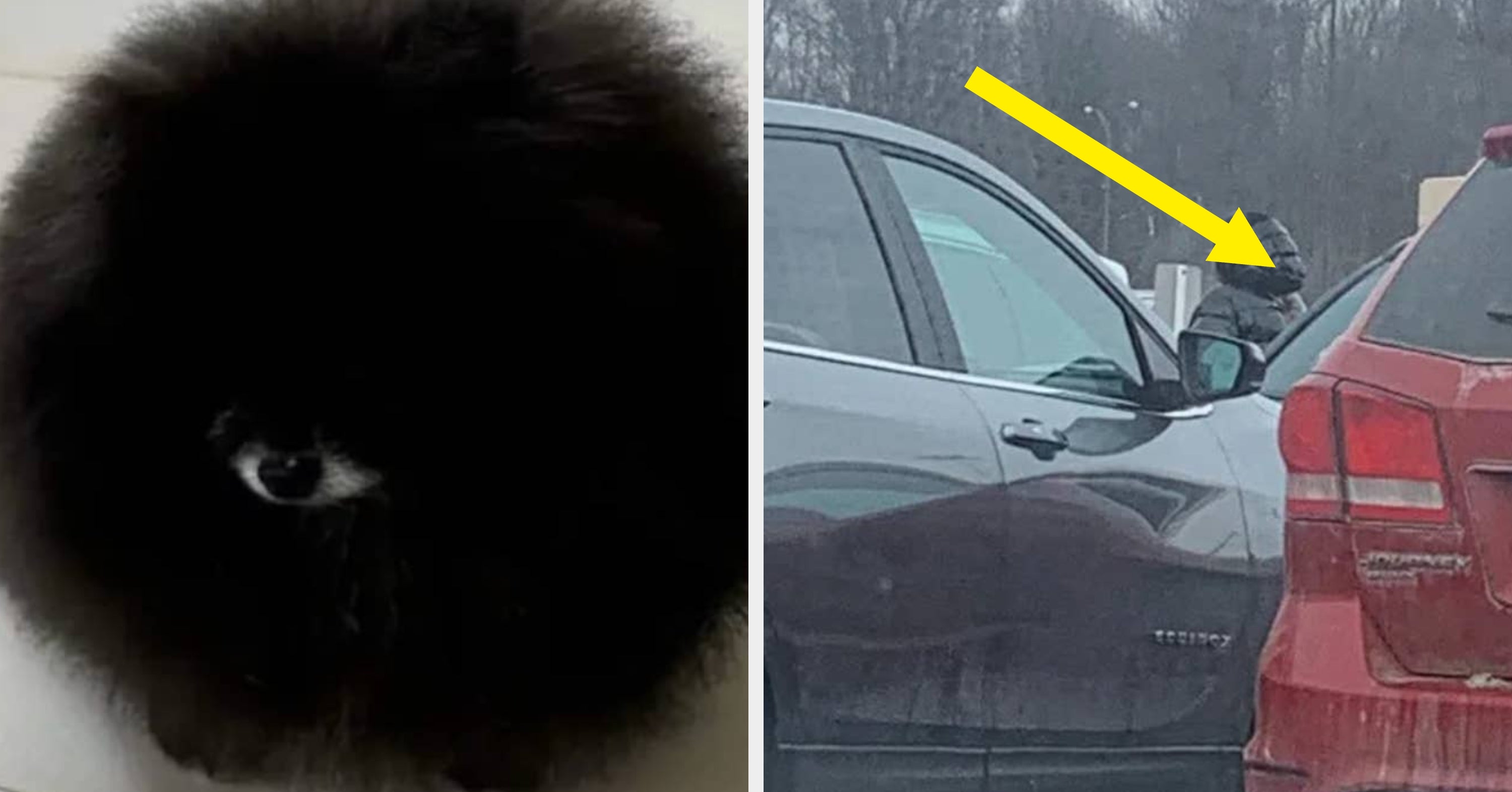 My Brain Broke Trying To Figure Out These 13 Photos