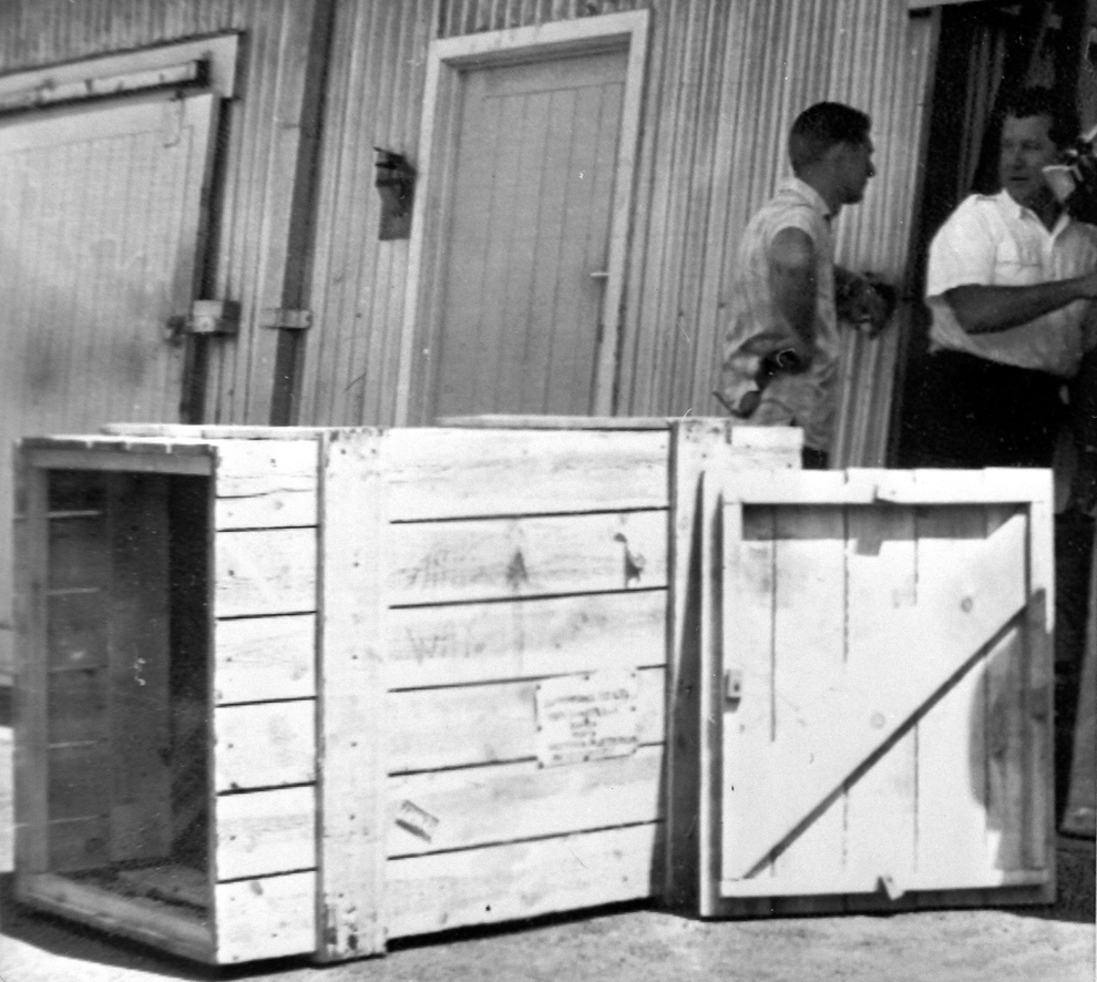 Two men standing near a disassembled wooden box outside a building. One gestures while the other listens