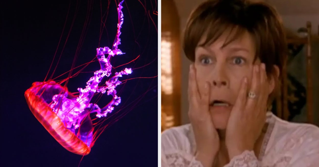 Don't Be Shy — Be Honest And I'll Reveal Which Deep Sea Creature Matches Your Chaotic Energy