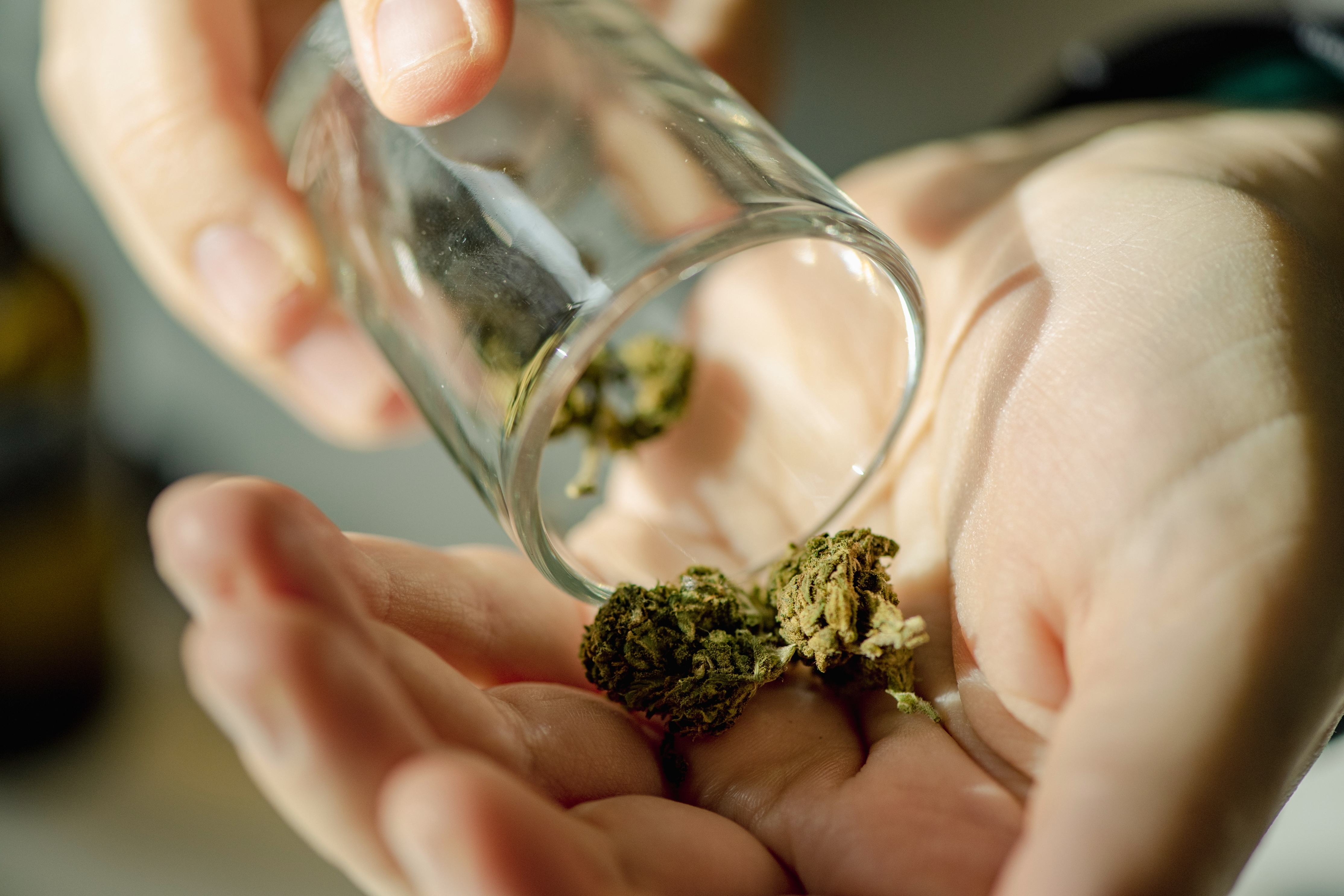Hands pouring dried cannabis buds from a small glass jar into an open palm