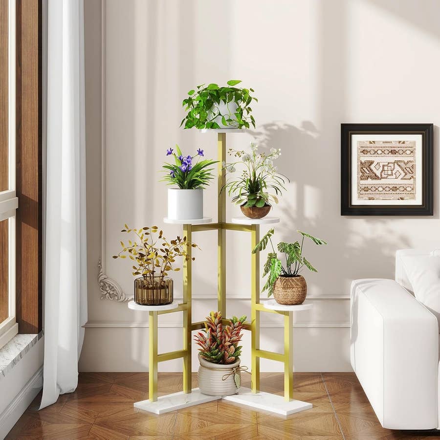 67 Best Indoor Plant Stands Of 2026