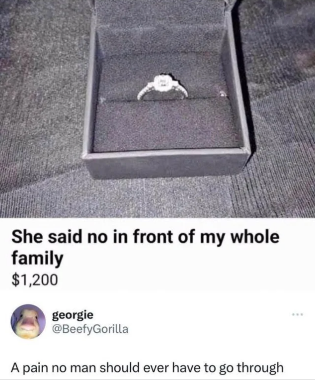 An engagement ringing  successful  a container  with substance   reading, "She said nary  successful  beforehand   of my full   household  $1,200" and a comment, "A symptom  nary  antheral   should ever   person  to spell  through."