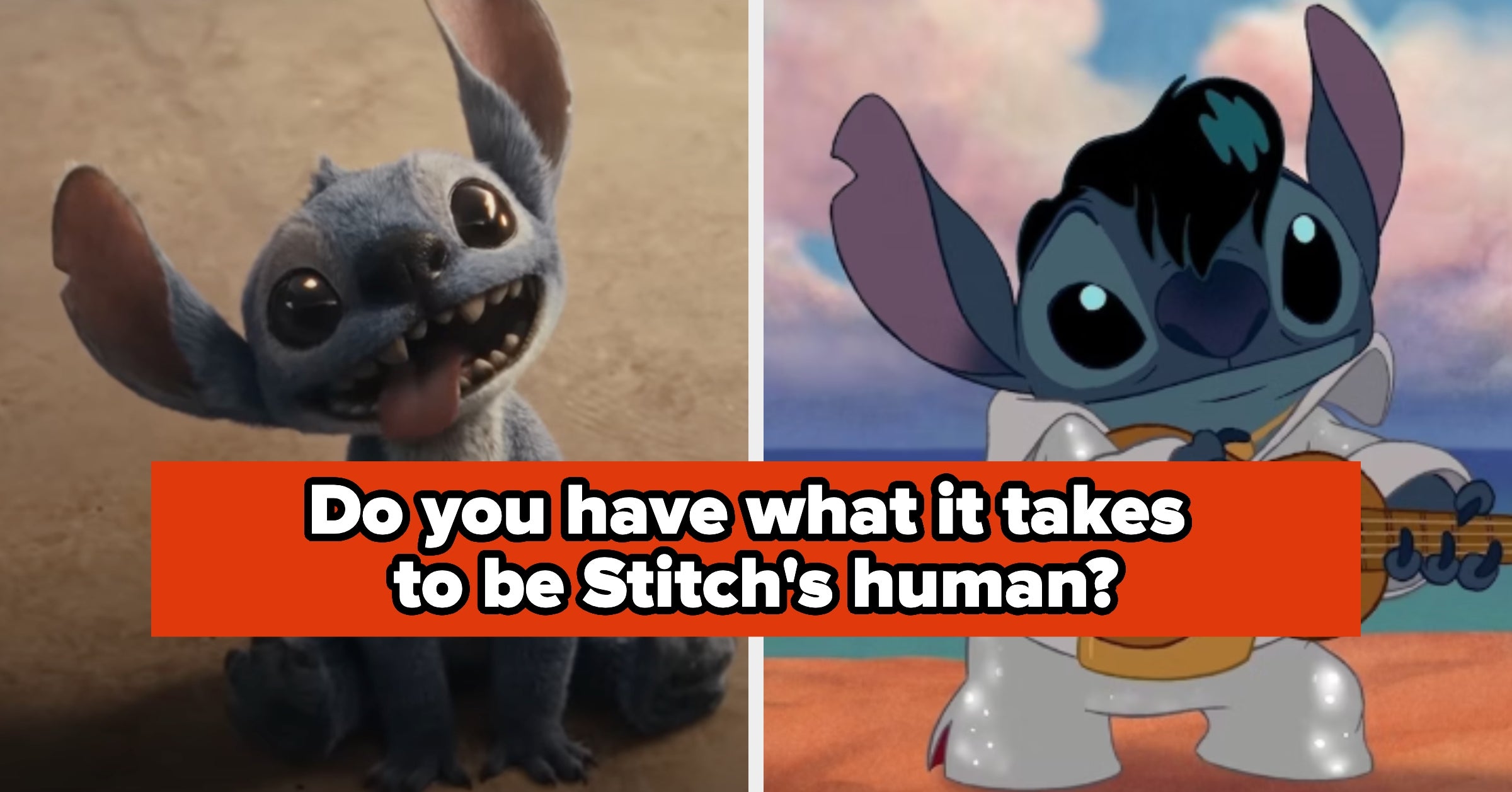 Do You Have What It Takes To Be Stitch’s Human?