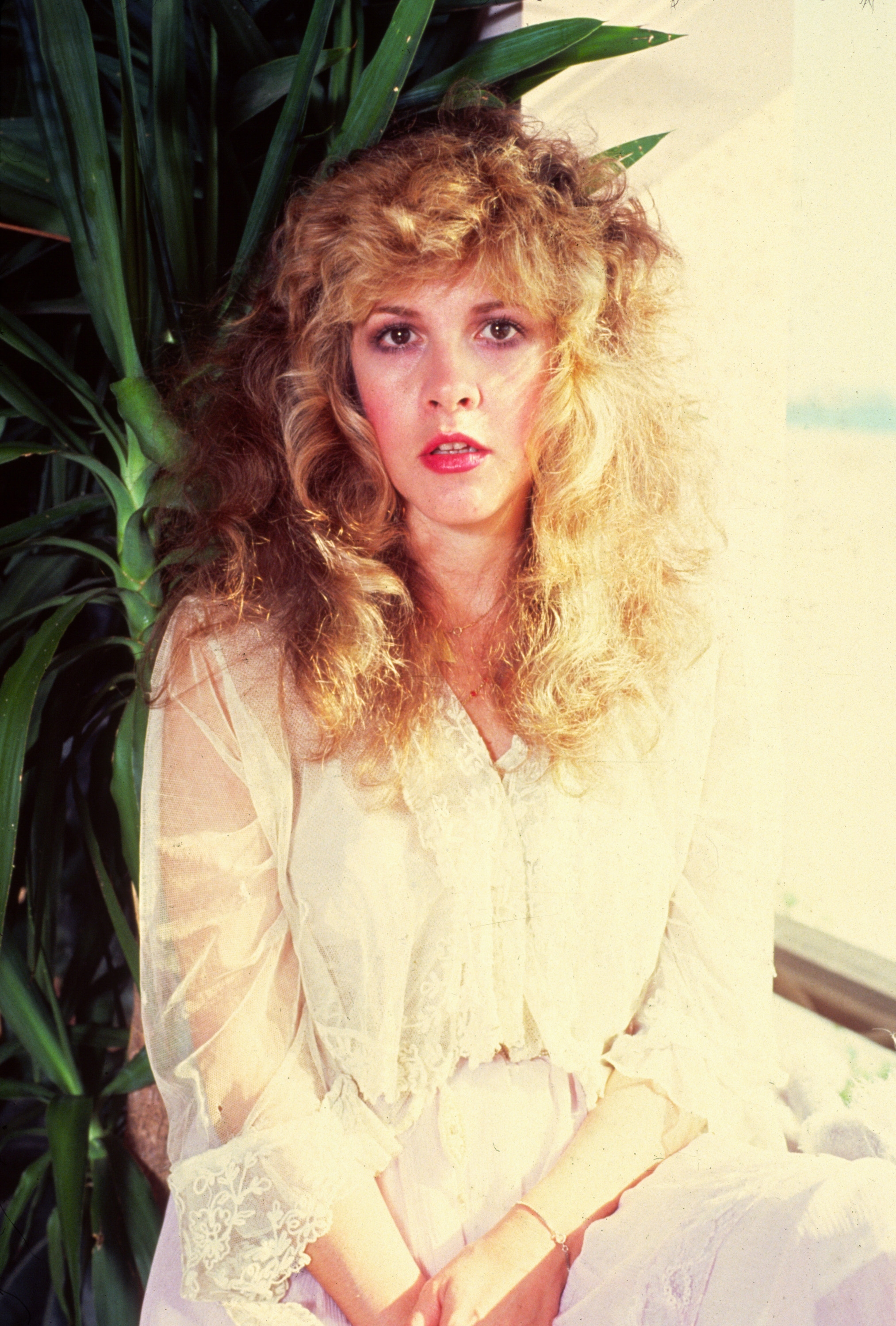 Person with voluminous, curly hair wearing a lacy, sheer blouse, sitting in a relaxed pose by a leafy plant