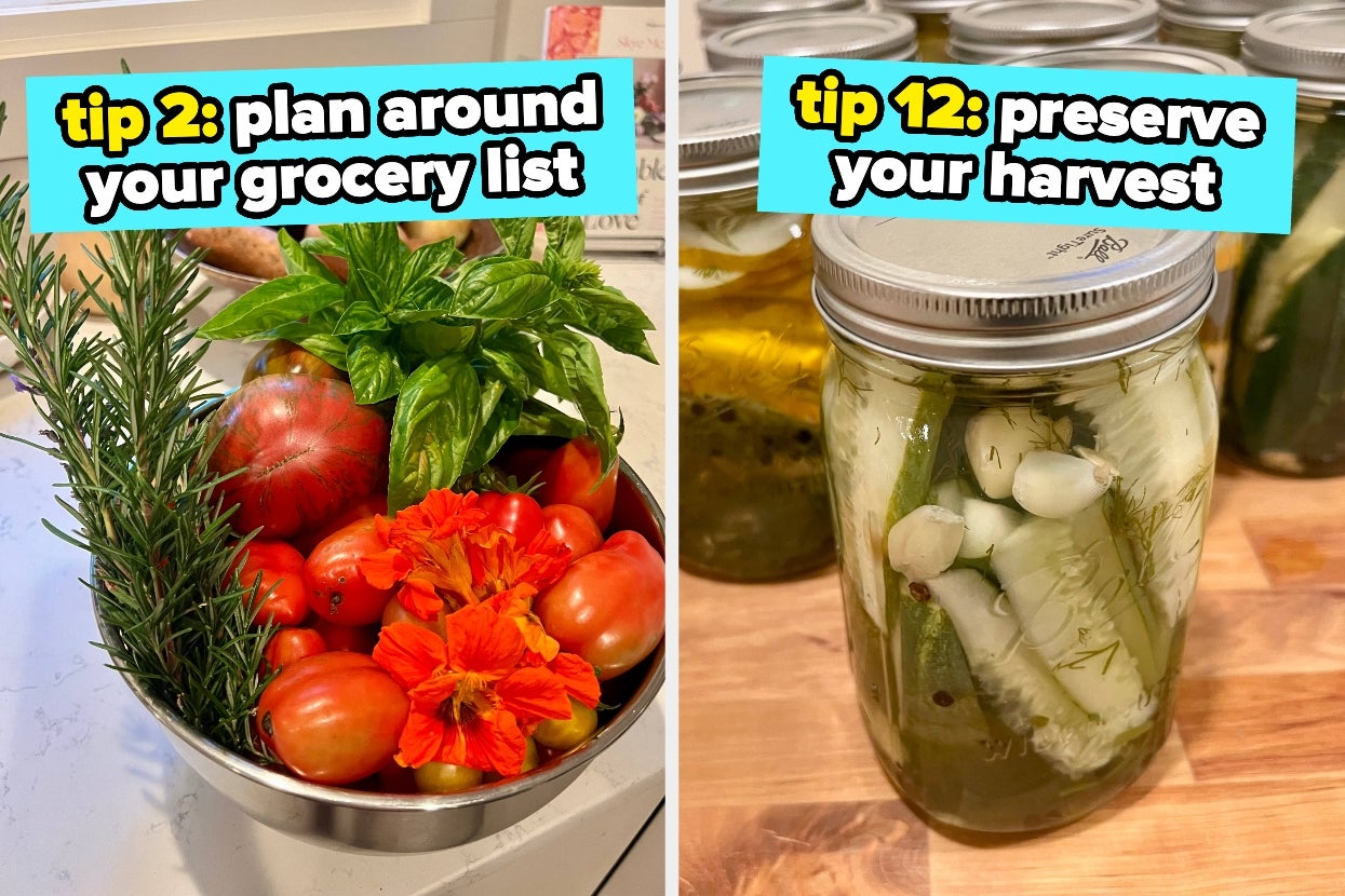 Whether You Have A Massive Backyard Or Live In A Small City Apartment, These 12 Gardening Pro Tips Will Help You Finally Grow Your Own Food This Summer