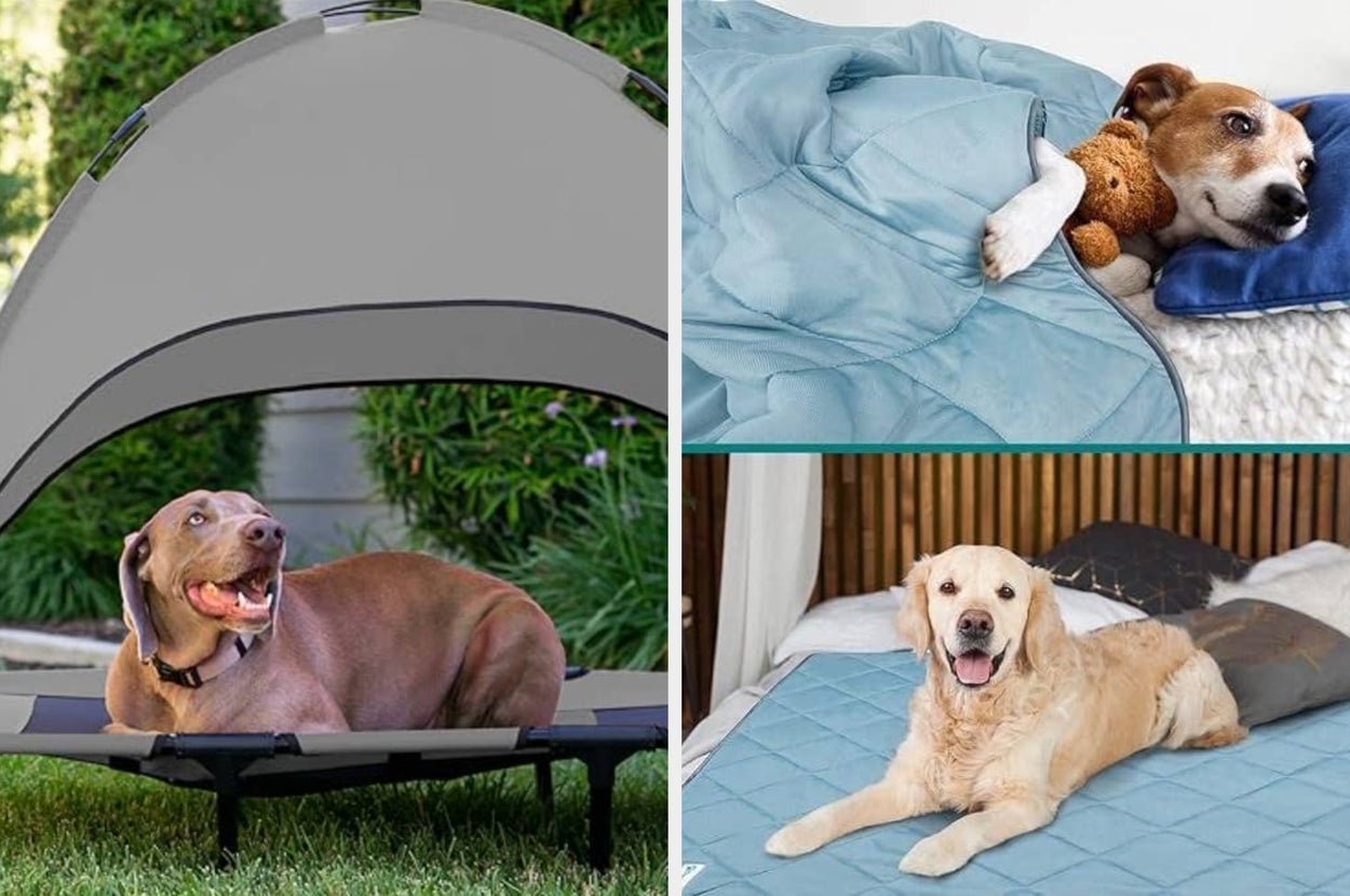 13 Cooling Pet Products That Have Great Reviews