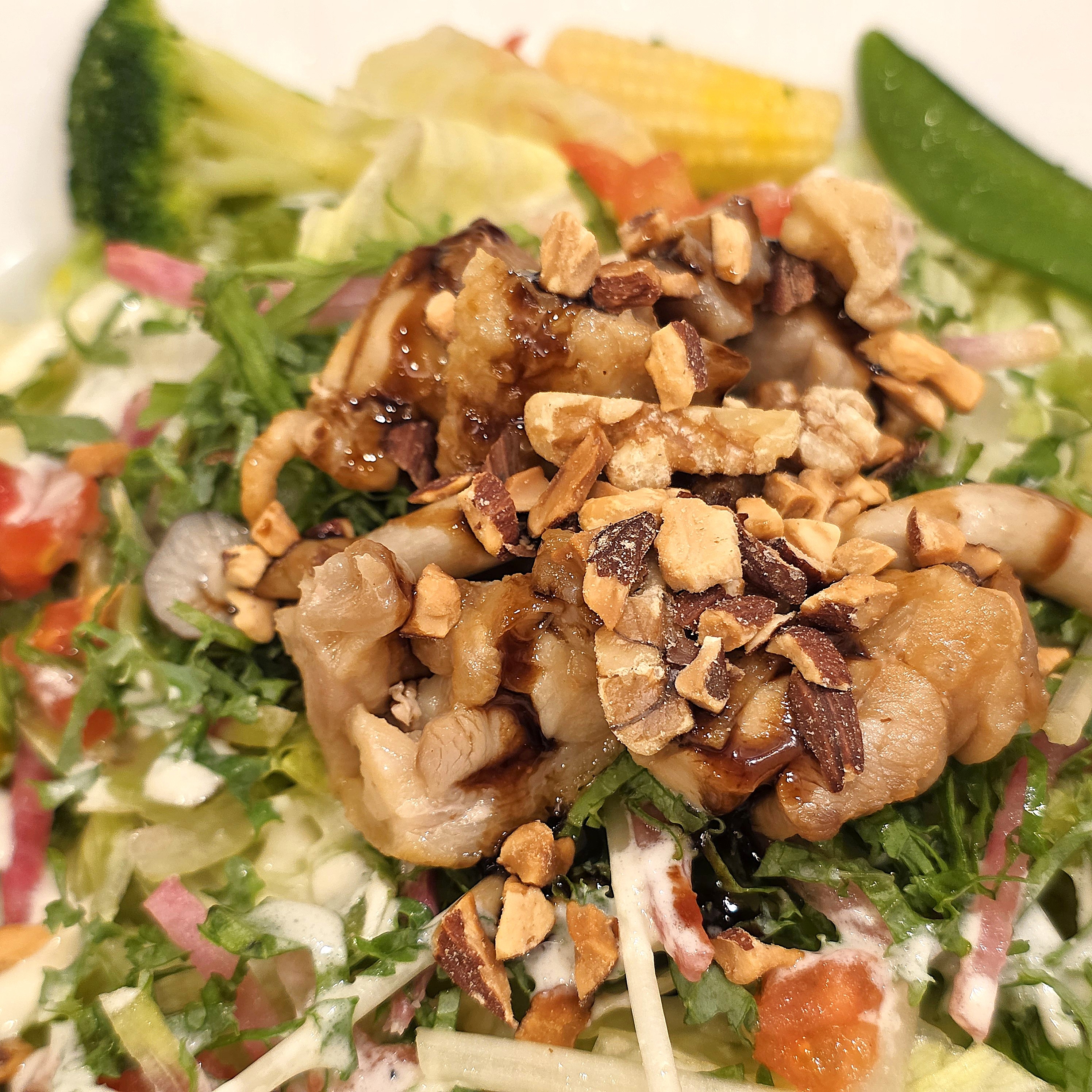 ココス】2人でシェアしてもすんごい量…！チキンたっぷりの「ボリューム