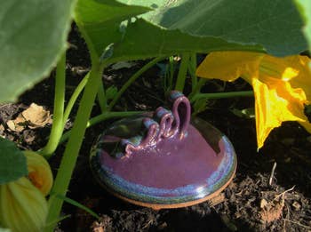 Ceramic plot ornament resembling a purple snake among works leaves and flowers successful soil