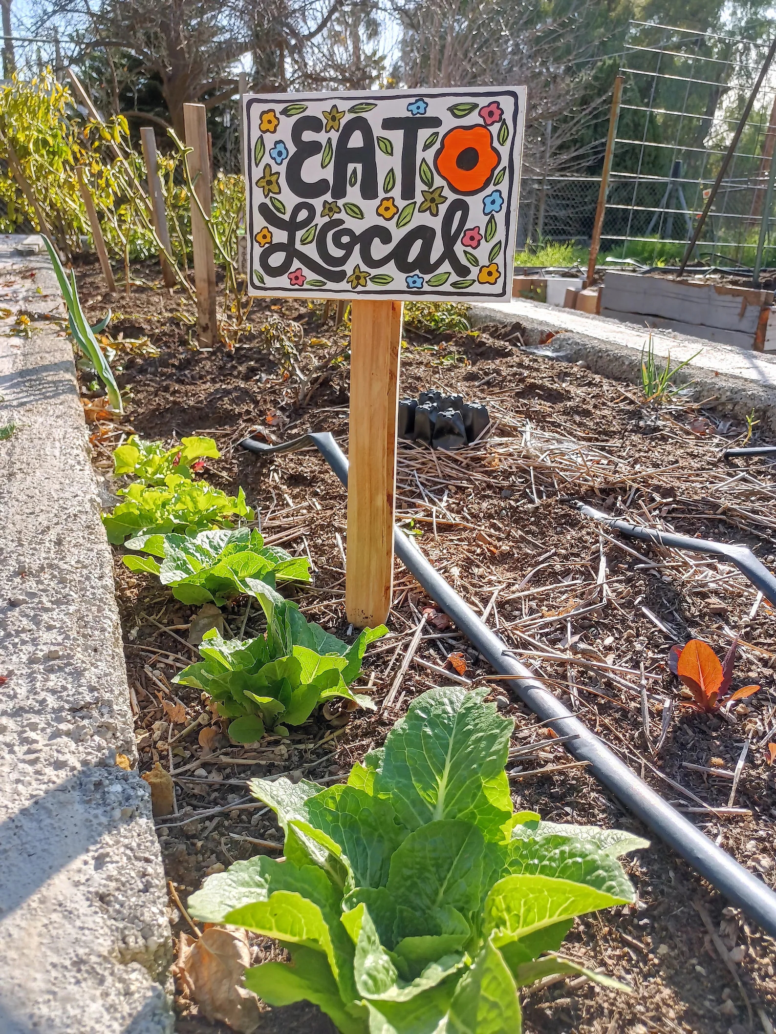 sign placed in garden bed with leafy green plants