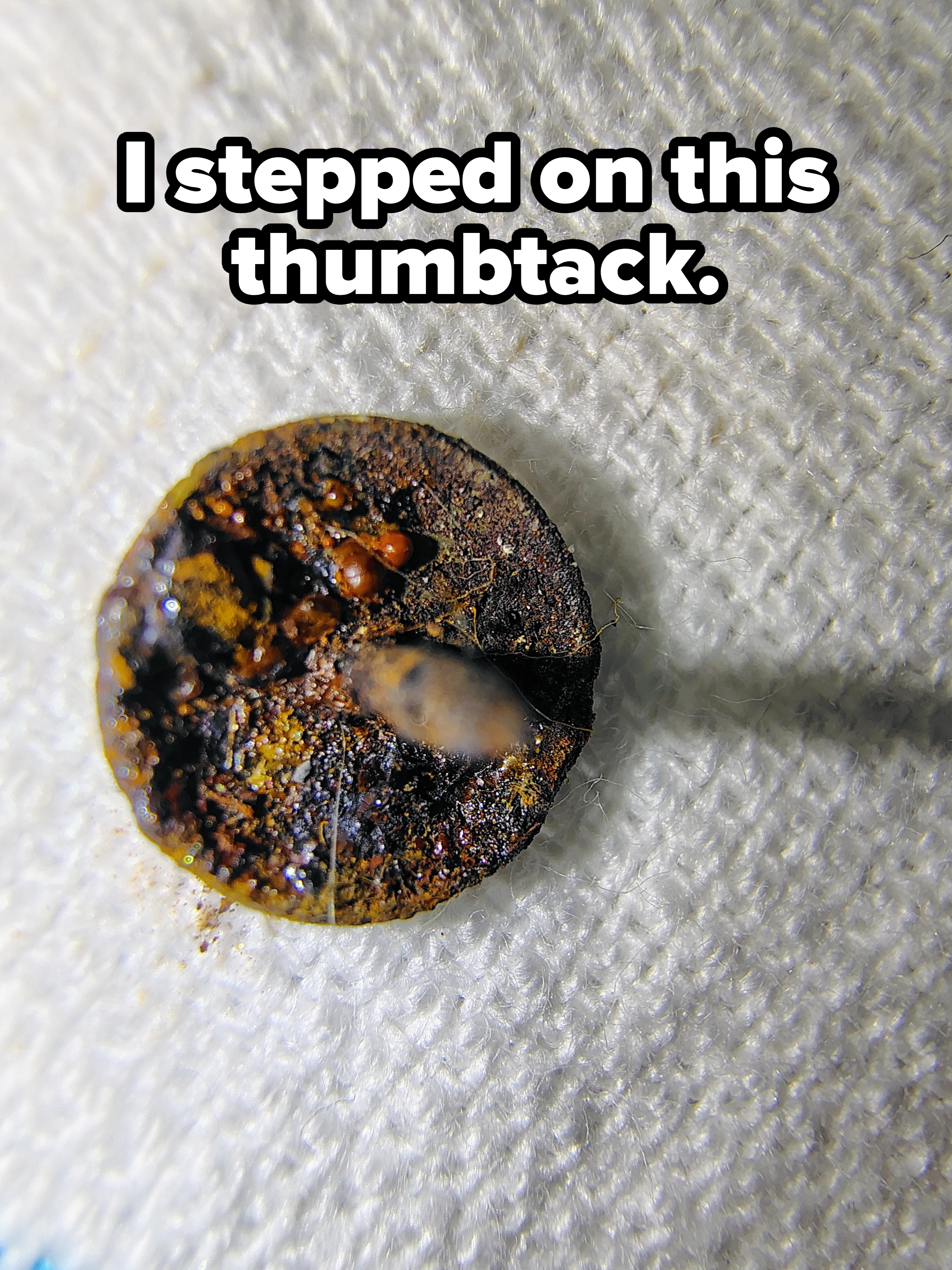 Close-up of a rusty coin on a textured surface, with tiny red seeds and a blurry shadow