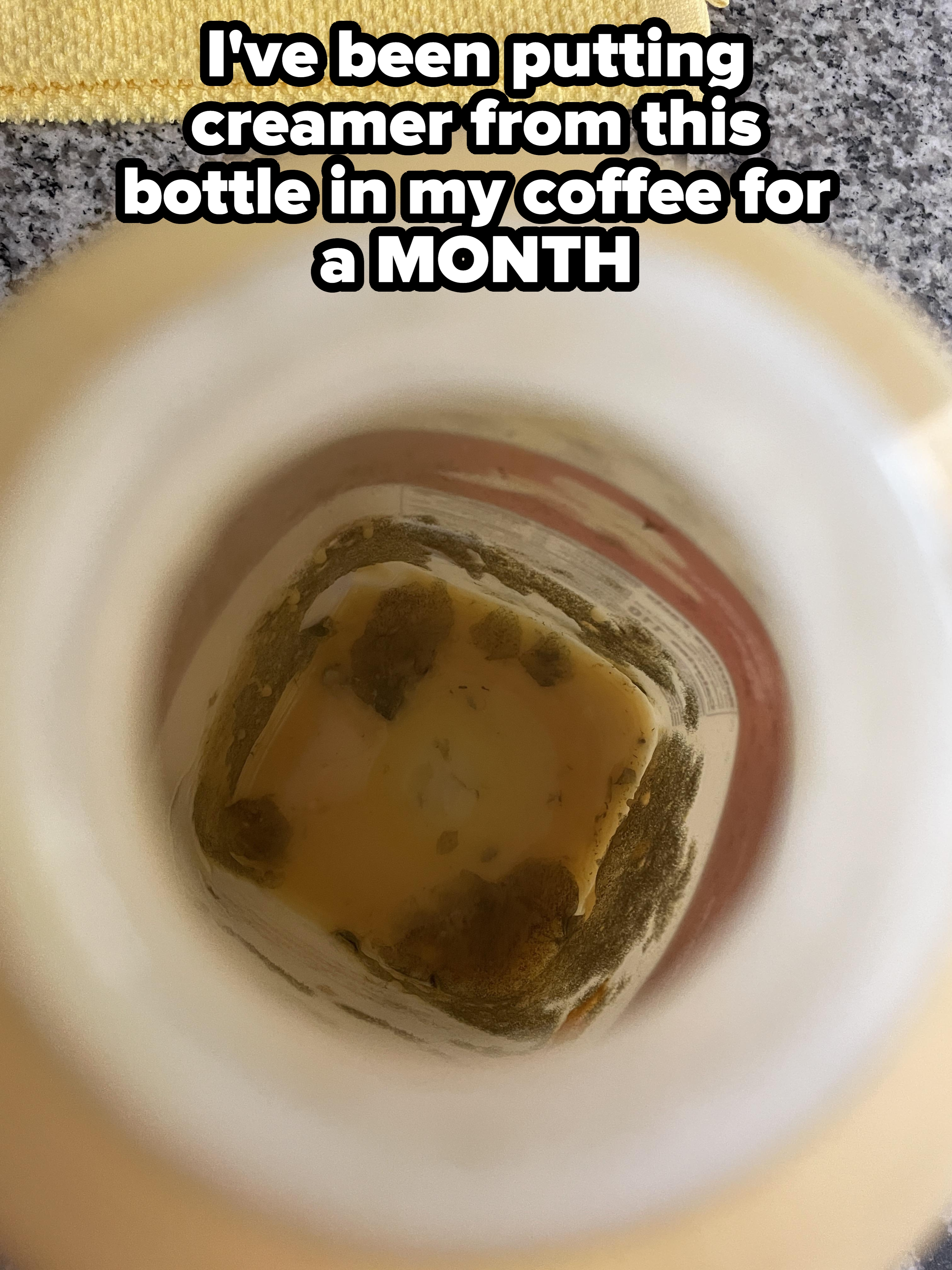 Inside view of a bottle with moldy residue at the bottom