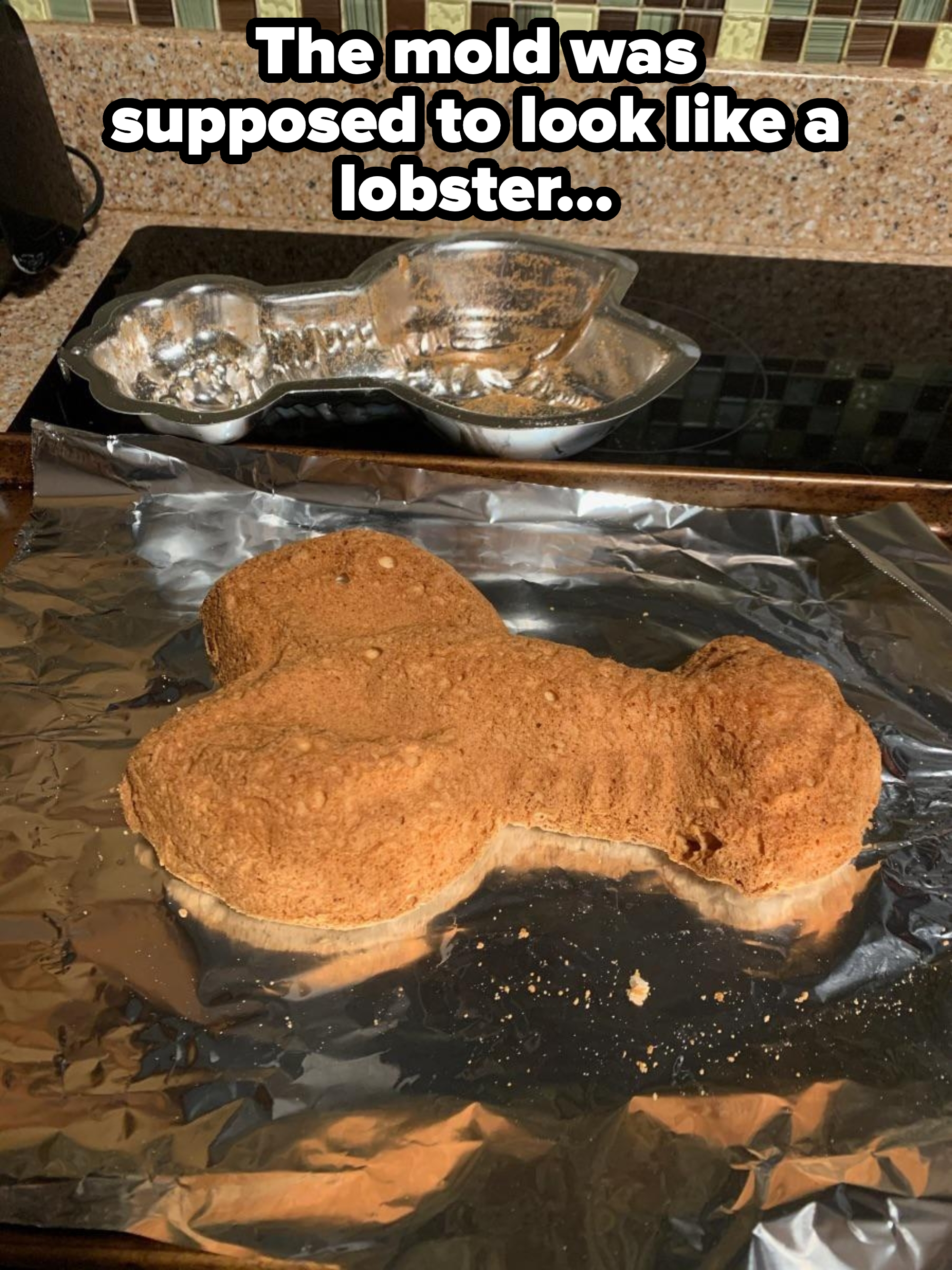 A cake shaped like a bone on foil, with an empty canine-shaped cake mold behind it