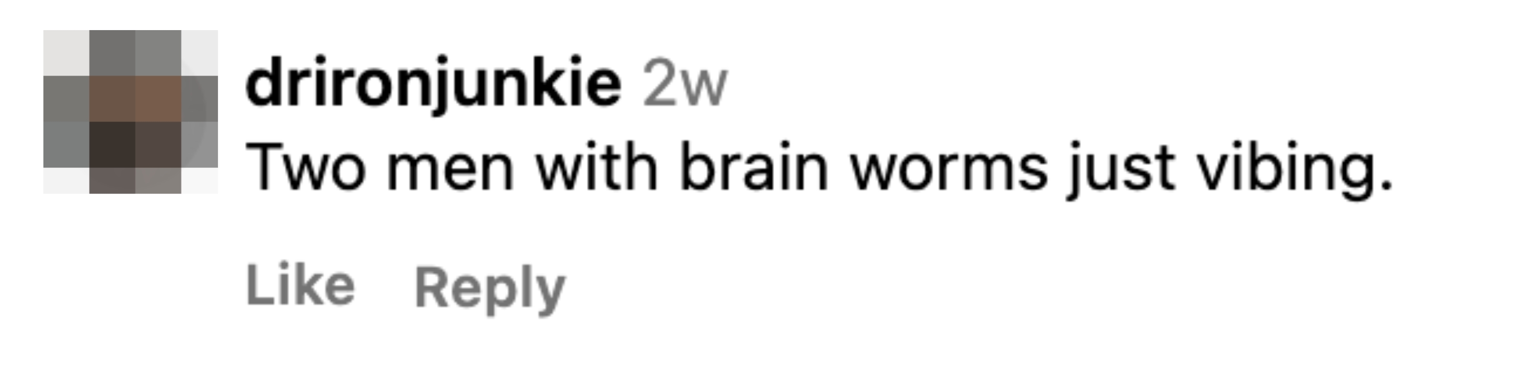 A comment from &quot;drironjunkie&quot; saying, &quot;Two men with brain worms just vibing.&quot;