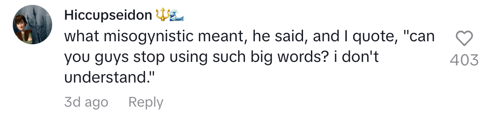 Comment discussing a misunderstanding of the term "misogynistic" in a humorous context, quoting a person asking to stop using big words