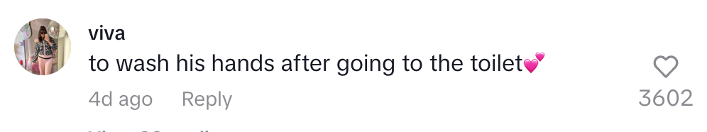 Comment says: "to wash his hands after going to the toilet" with a heart emoji, 3602 likes