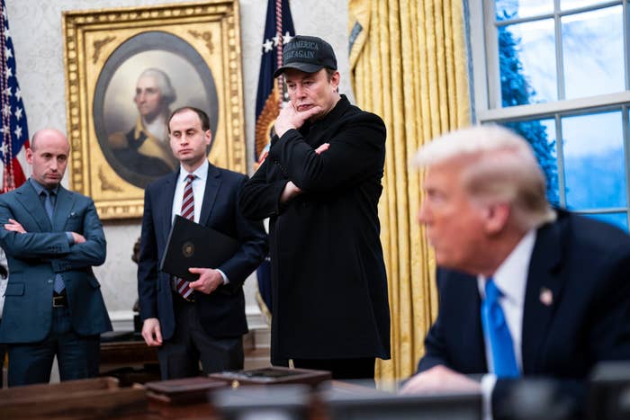 Elon Musk in casual attire and a hat stands thoughtfully in the Oval Office office with several people, including Donald Trump seated at a desk