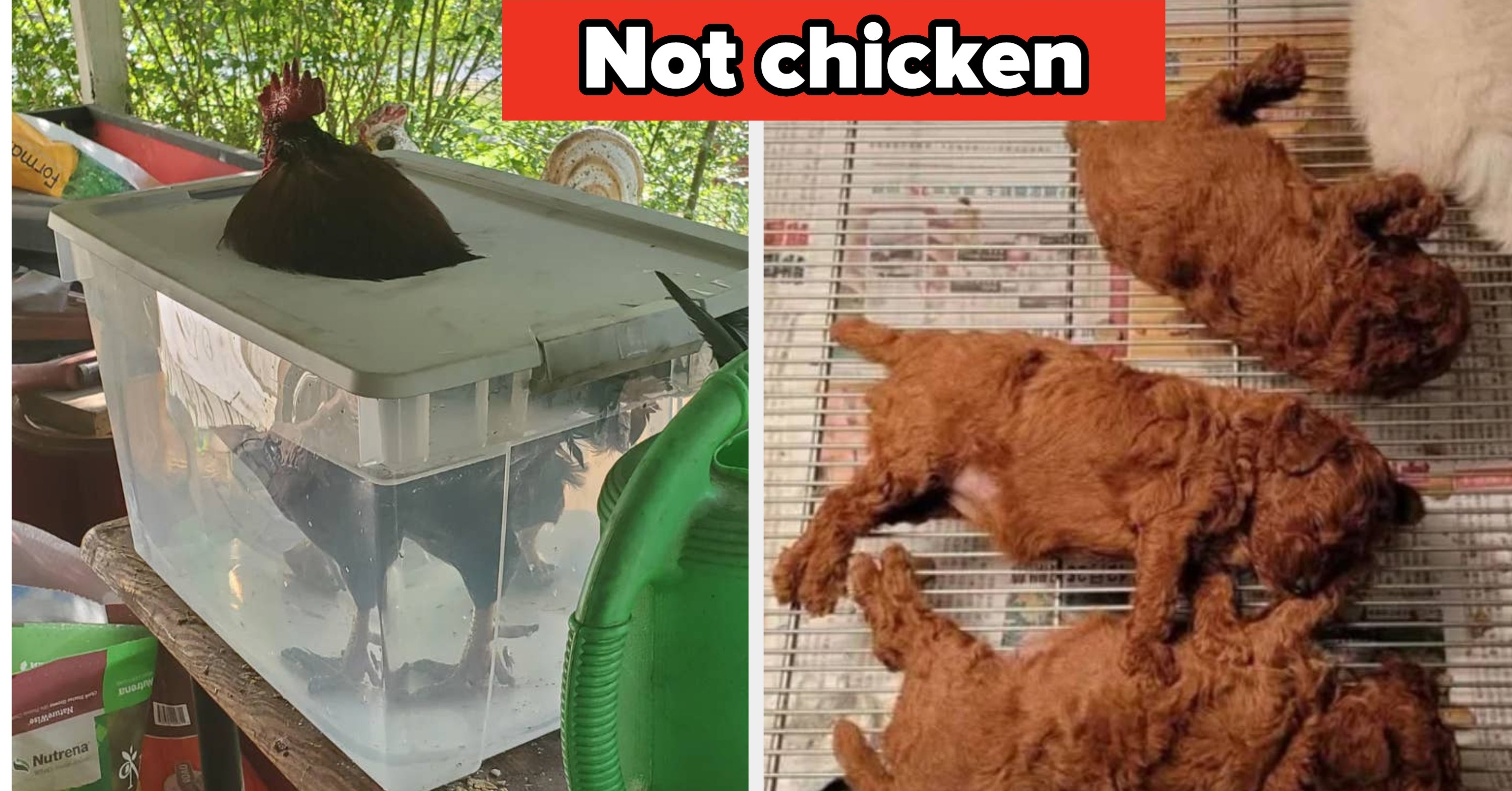 17 Pictures That Scrambled My Thoughts So Thoroughly I'm Taking The Rest Of The Day Off