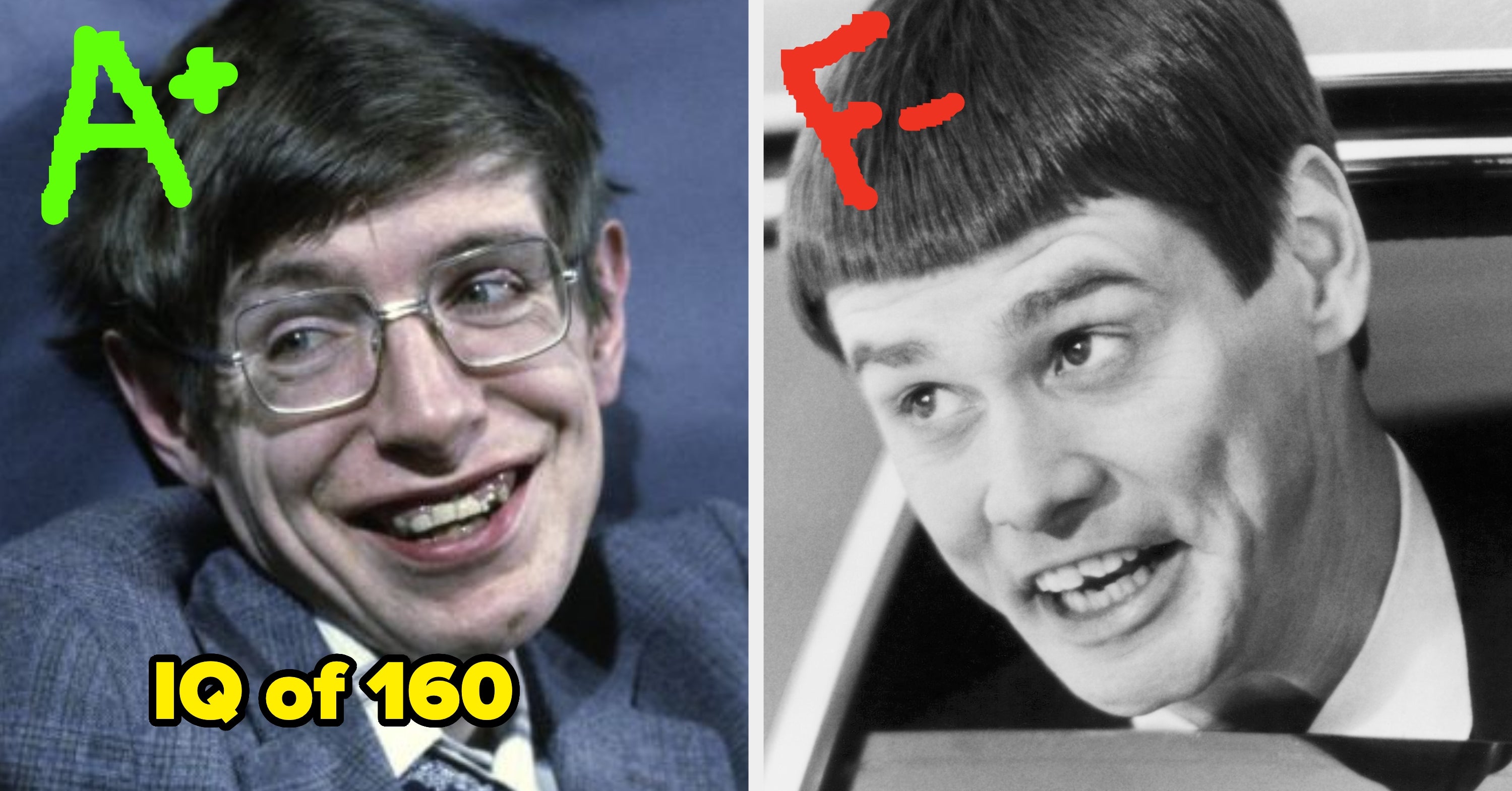 30 Vocabulary Terms That Only People With An IQ Of 140 Or Higher Can Define
