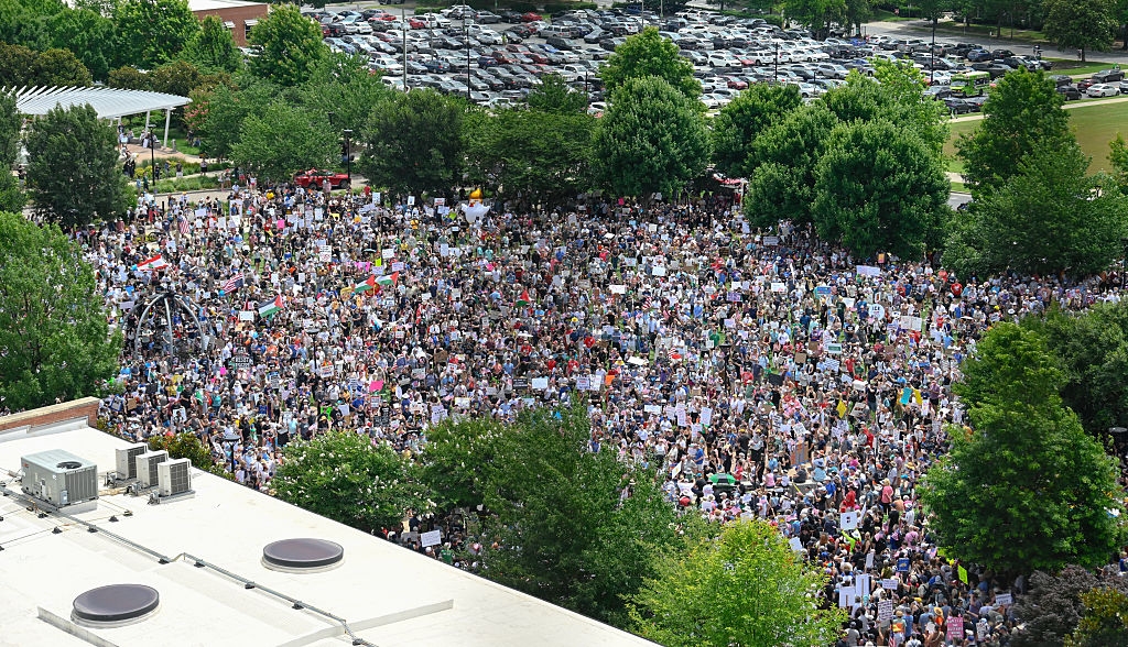 Large crowd gathers peacefully in a park for a protest, many holding signs. Trees and parking lot visible in background