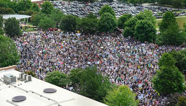 Large crowd gathers peacefully in a park for a protest, many holding signs. Trees and parking lot visible in background