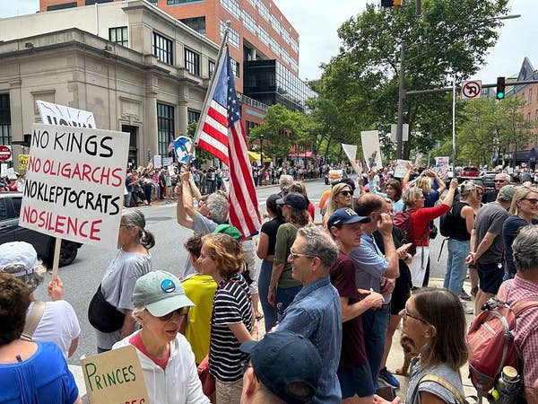 Protesters holding various signs and an American flag gather on a city street, expressing dissent against oligarchs and advocating for democracy
