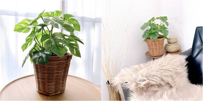 IKEA(イケア)のおすすめのインテリア「FEJKA フェイカ人工観葉植物 室内/屋外用 モンステラ」