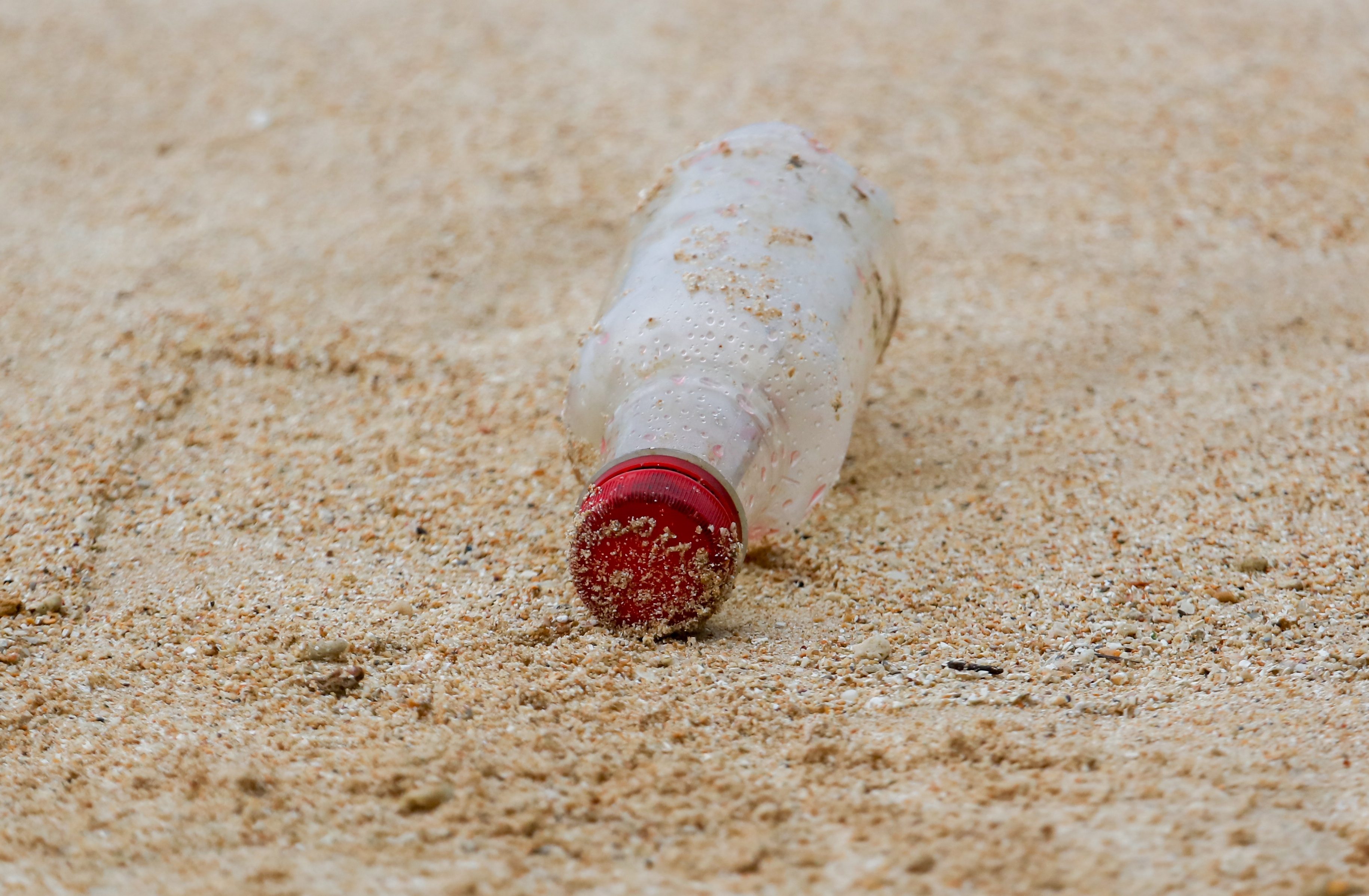 海辺で見つけた1本のビン、なかには遺灰と1通の手紙。その内容に