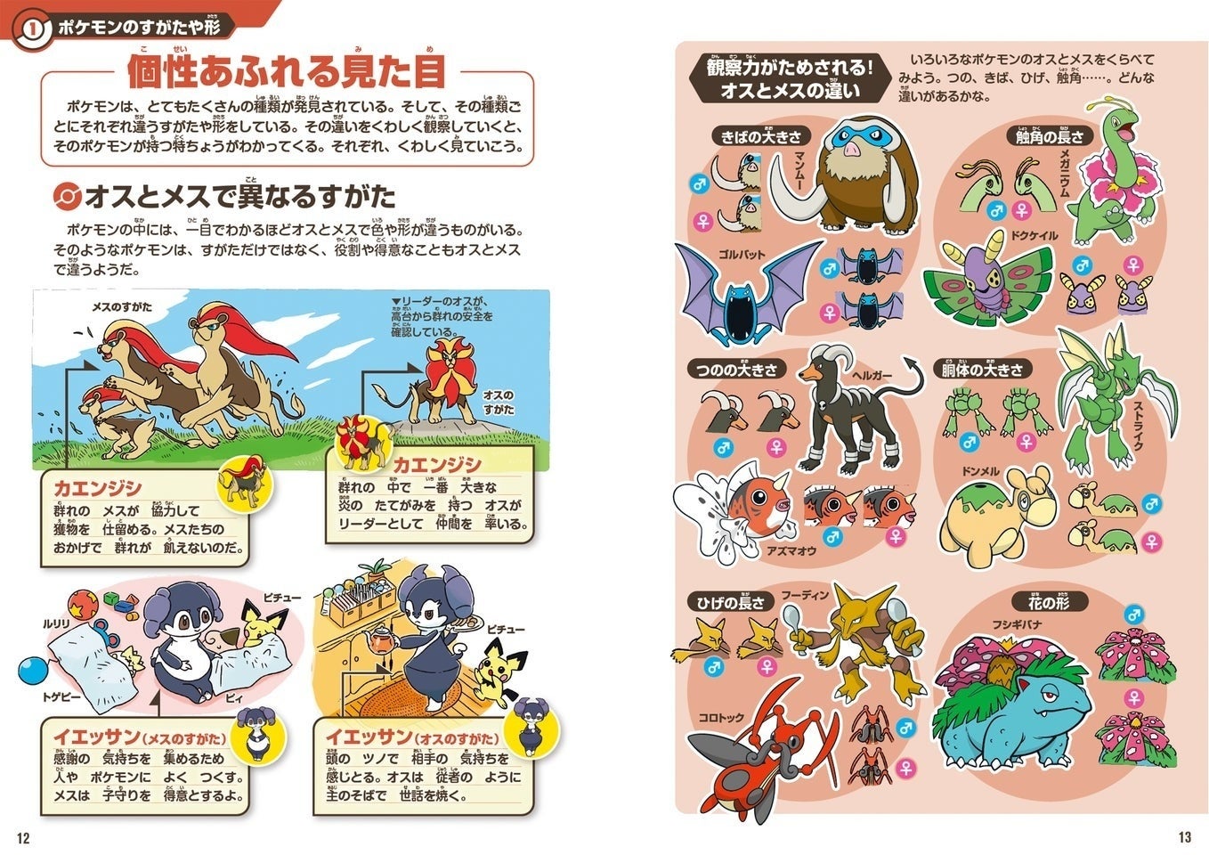 ポケモン生態図鑑】オスとメスの見分け方、移動方法、えさを取るための