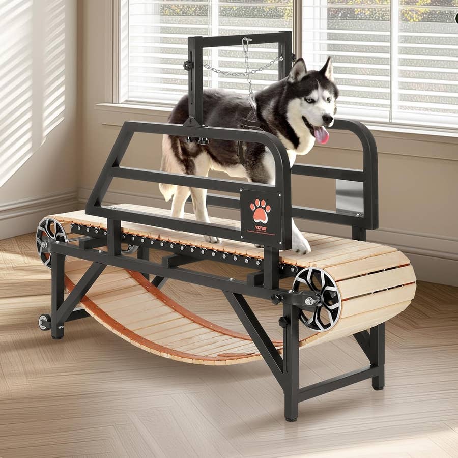 Exercise Equipment Slat Mill Dog Treadmill Dog Treadmill For Small