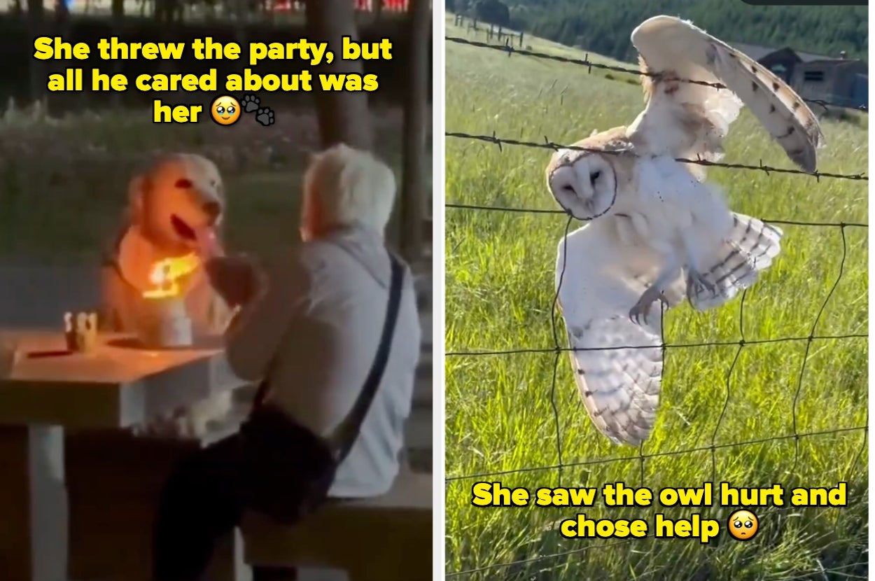Left: A person dines with a dog at a table. Right: An owl is caught in a fence. Text describes someone caring for each