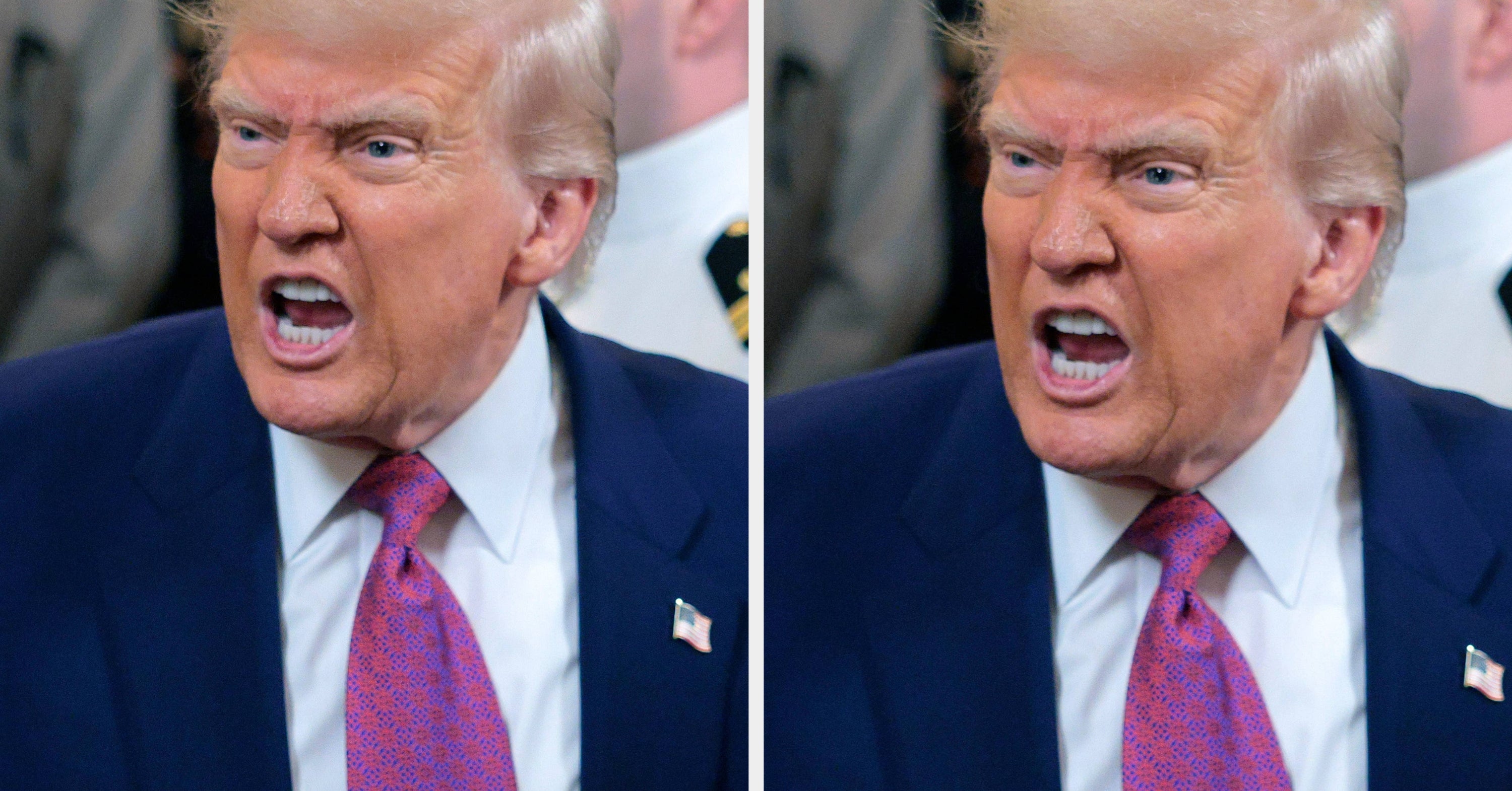 A Fascism Expert Shared The "Big Fear" That Prompted Her To Leave Donald Trump’s America