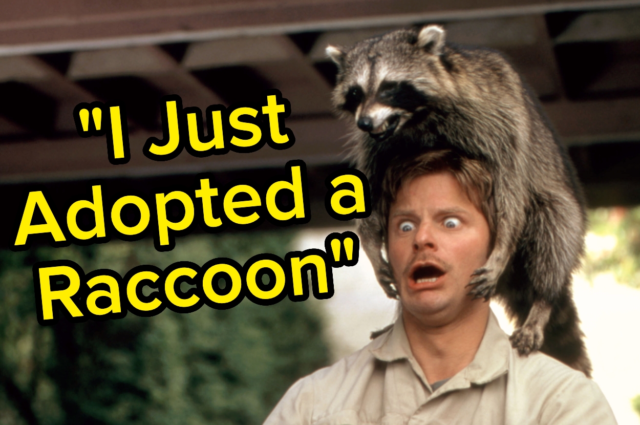 Steve Zahn in "Saving Silverman" surprised as raccoon sits on his head; text reads sarcastically, "I Just Adopted a Raccoon."