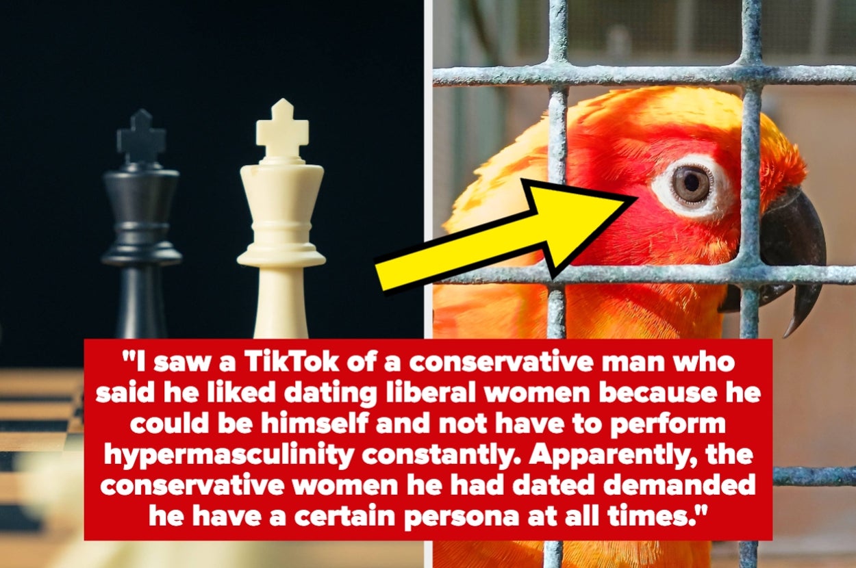 A parrot behind bars and two chess pieces beside a text: "Conservative man likes dating liberal women for more authentic self-expression."