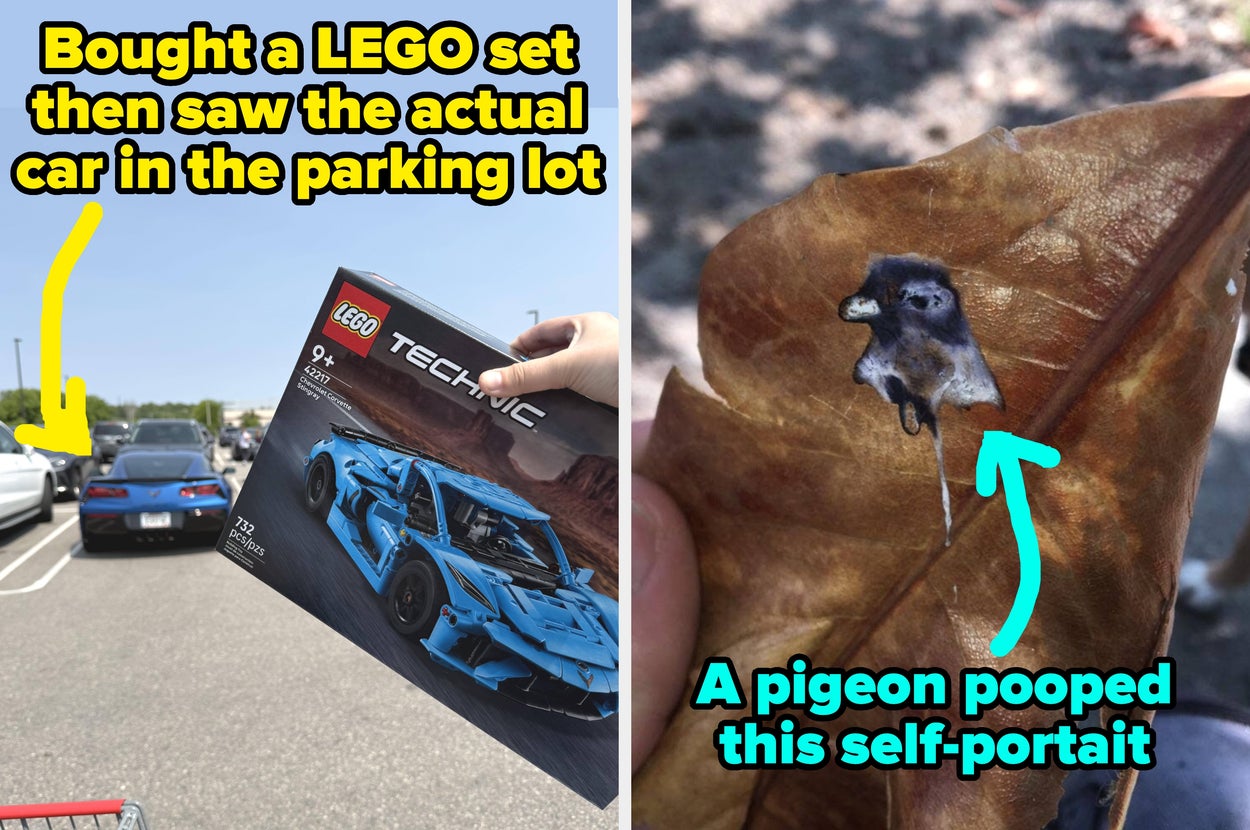 On the left, a LEGO car set matches a real car in a parking lot. On the right, a leaf has a pigeon poop resembling a self-portrait