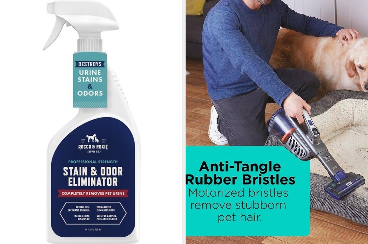 Pet stain remover spray bottle and vacuum with anti-tangle bristles for pet hair removal