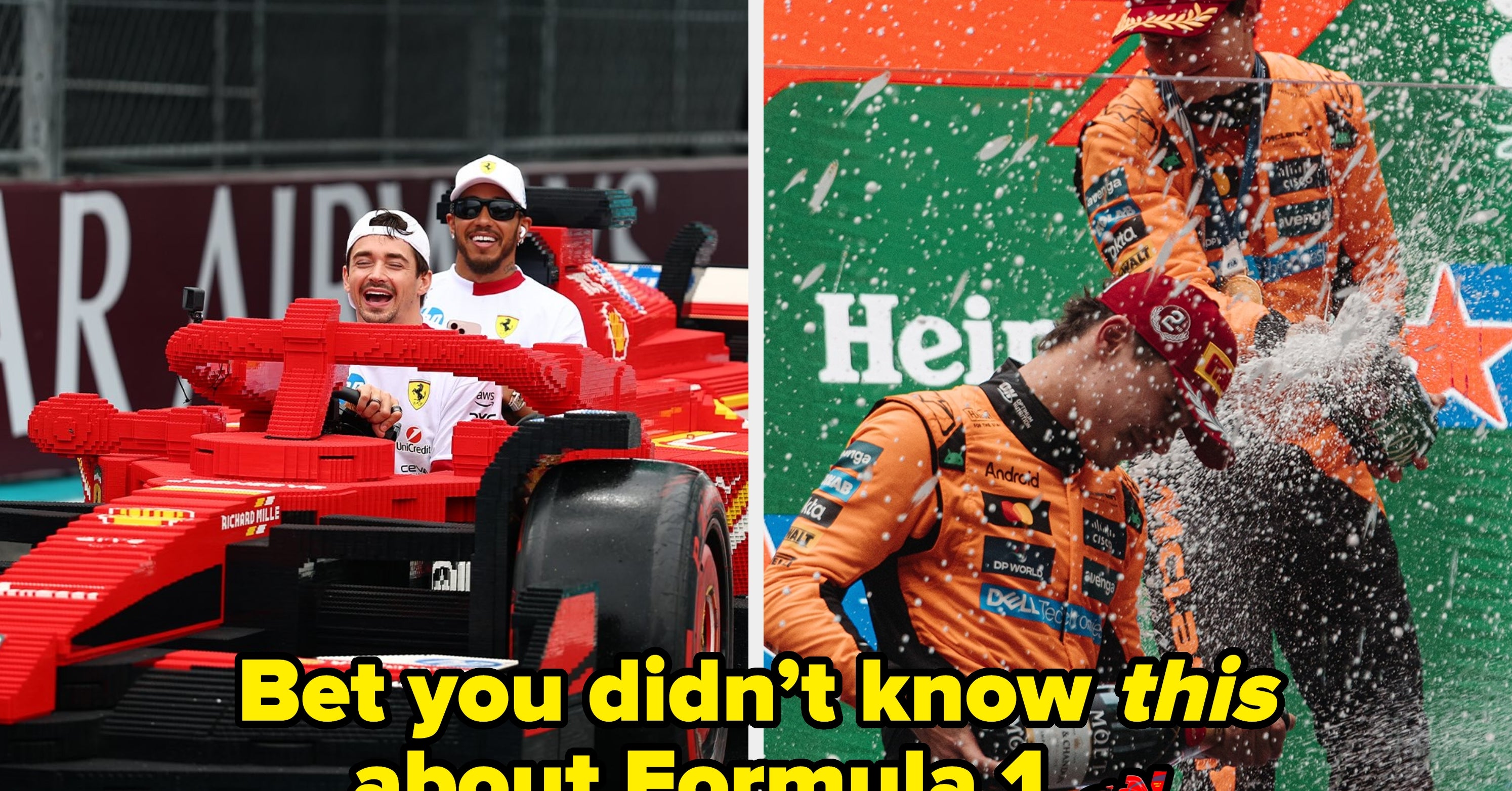 The Weird Facts Nobody Tells You   www.buzzfeed.com