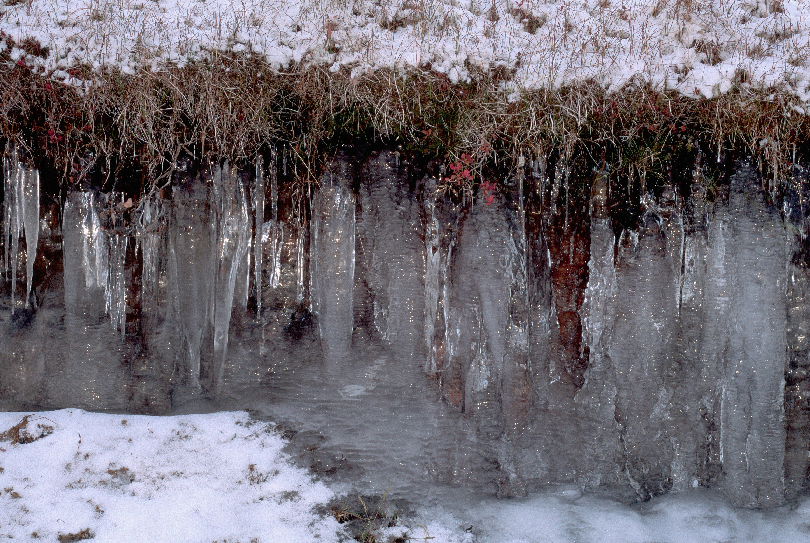 Icicles hang from a grassy embankment with snow covering the ground, creating a winter landscape