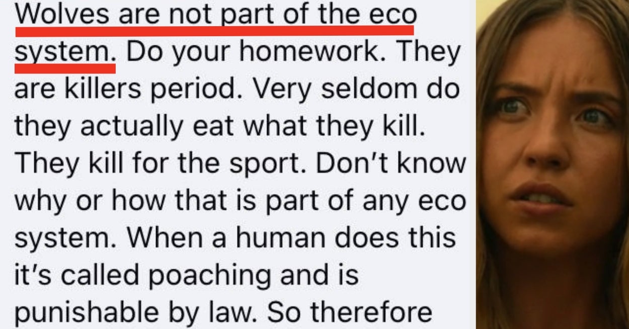 33 Dumb Internet Posts