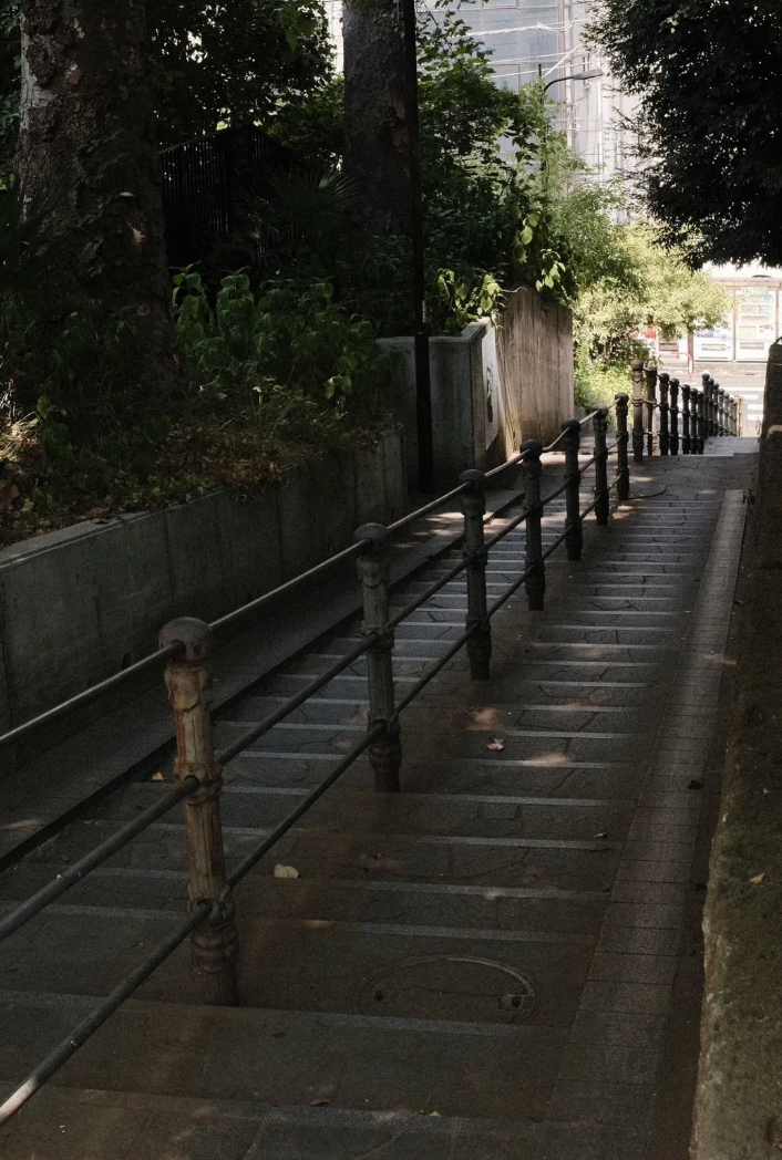Accessible ramp adjacent  to stairs successful  an outdoor setting, surrounded by trees and greenery
