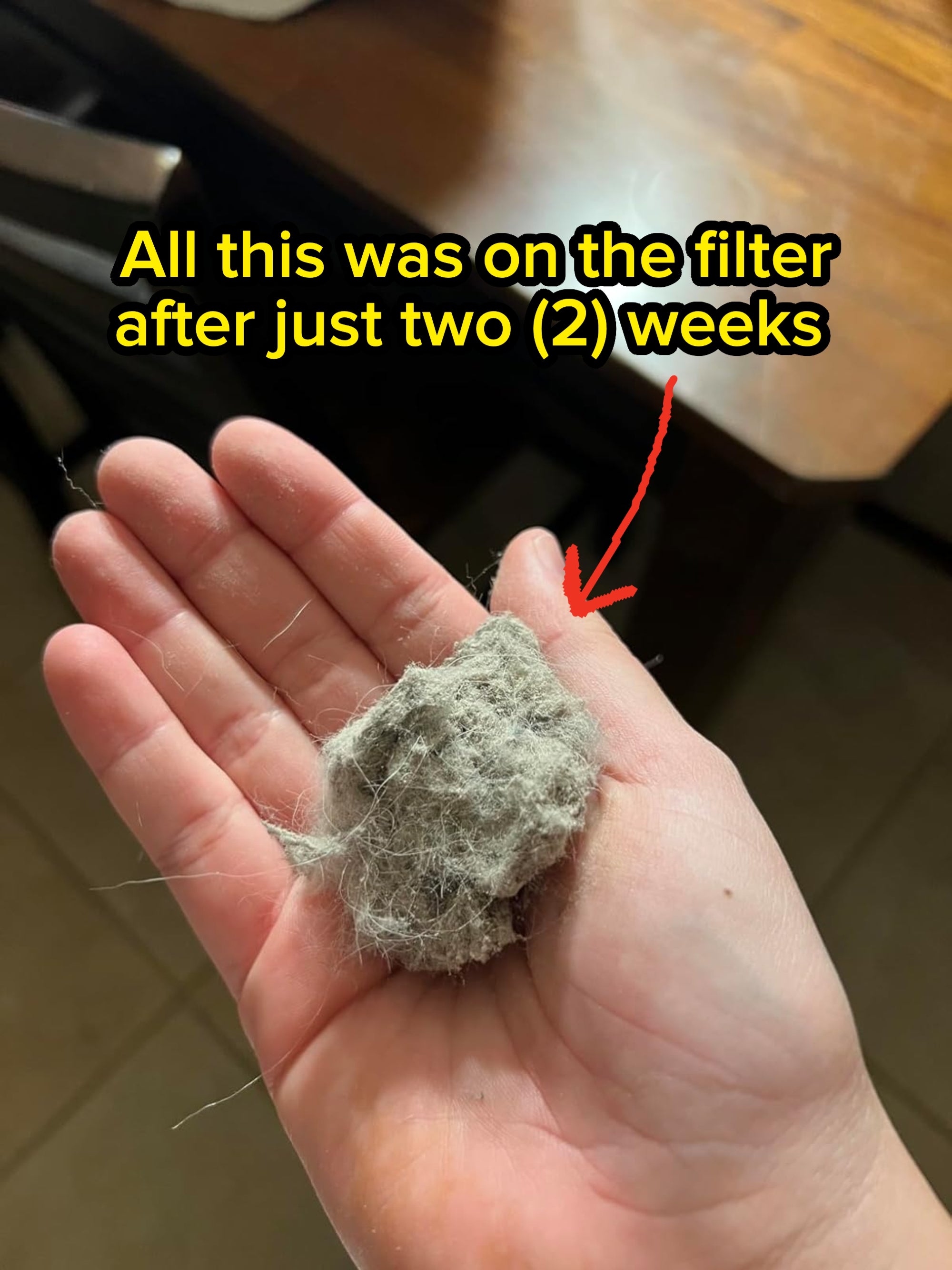 Person holding a clump of grey  particulate  and lint successful  their hand