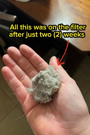 Person holding a clump of grey particulate and lint successful their hand