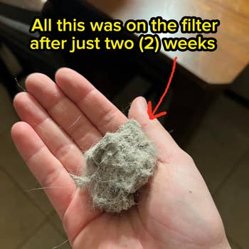 Person holding a clump of grey particulate and lint successful their hand