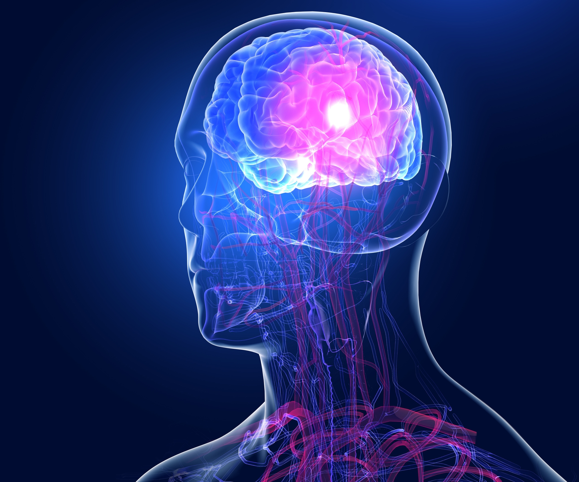 Illustrasjon av en menneskelig hjerne som fremhever nevral aktivitet, satt i et gjennomskinnelig hode, med fokus på vitenskap og helsetemaer
