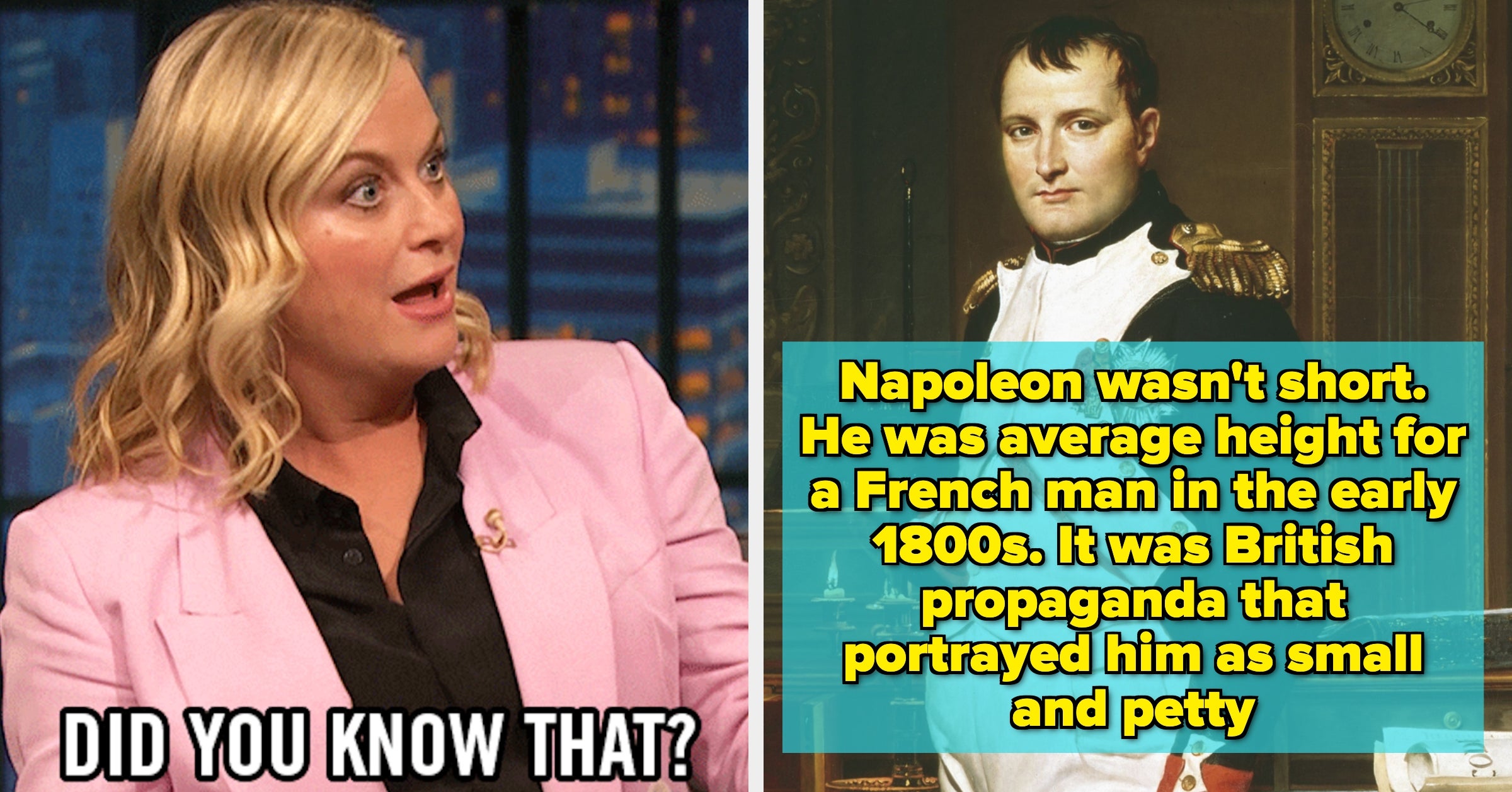 21 Common "Fun Facts" That Everyone Keeps Repeating, But Are Actually False