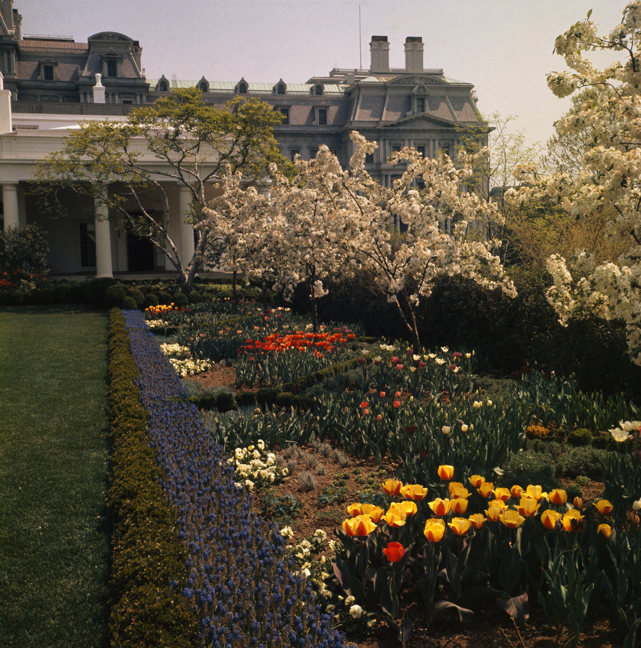 A lush garden with blooming tulips, daffodils, and other flowers beside a grand historic building