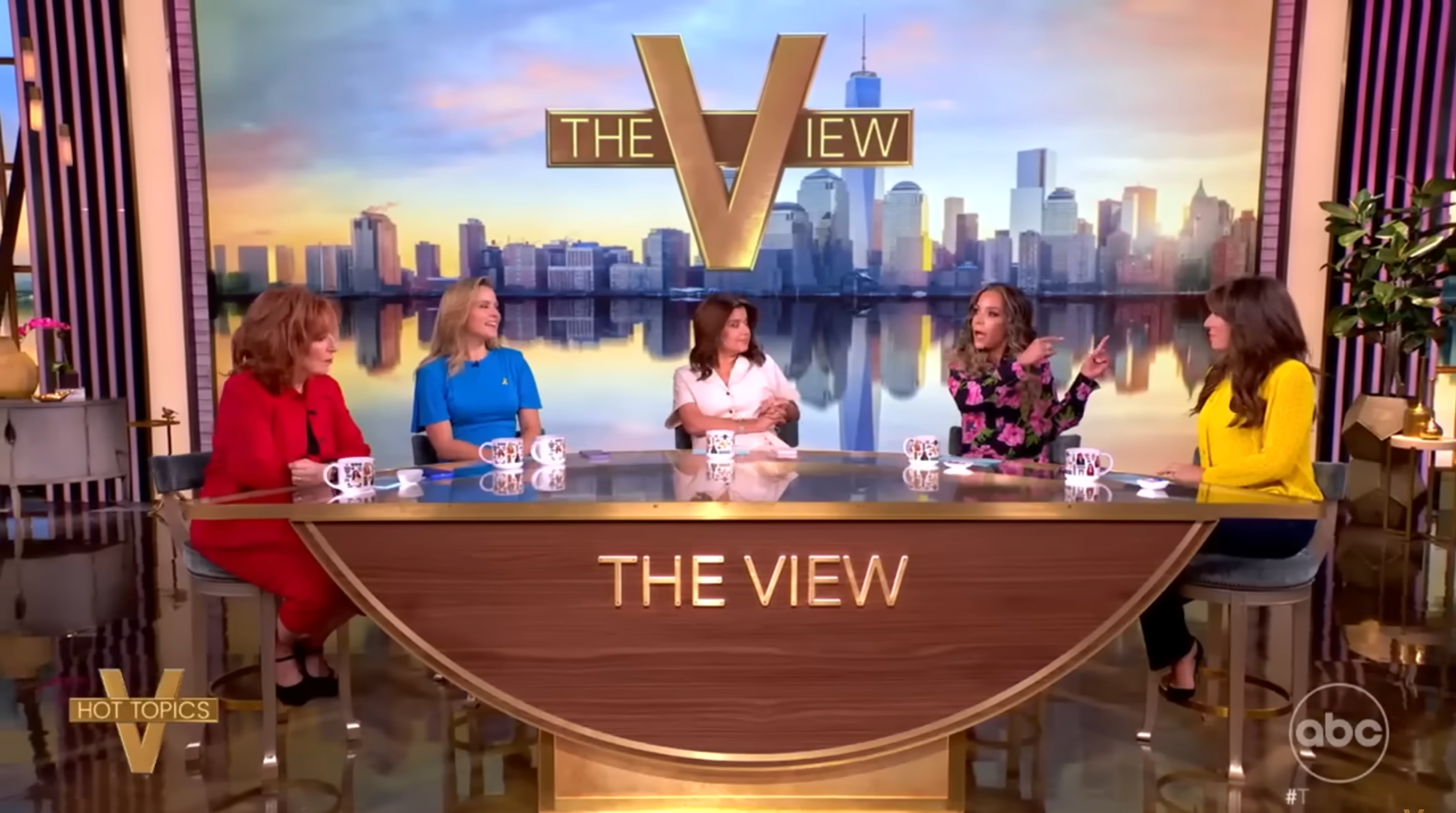 Panelists sitting at a round table discussing topics on a talk show set, with a city skyline backdrop and "The View" logo displayed